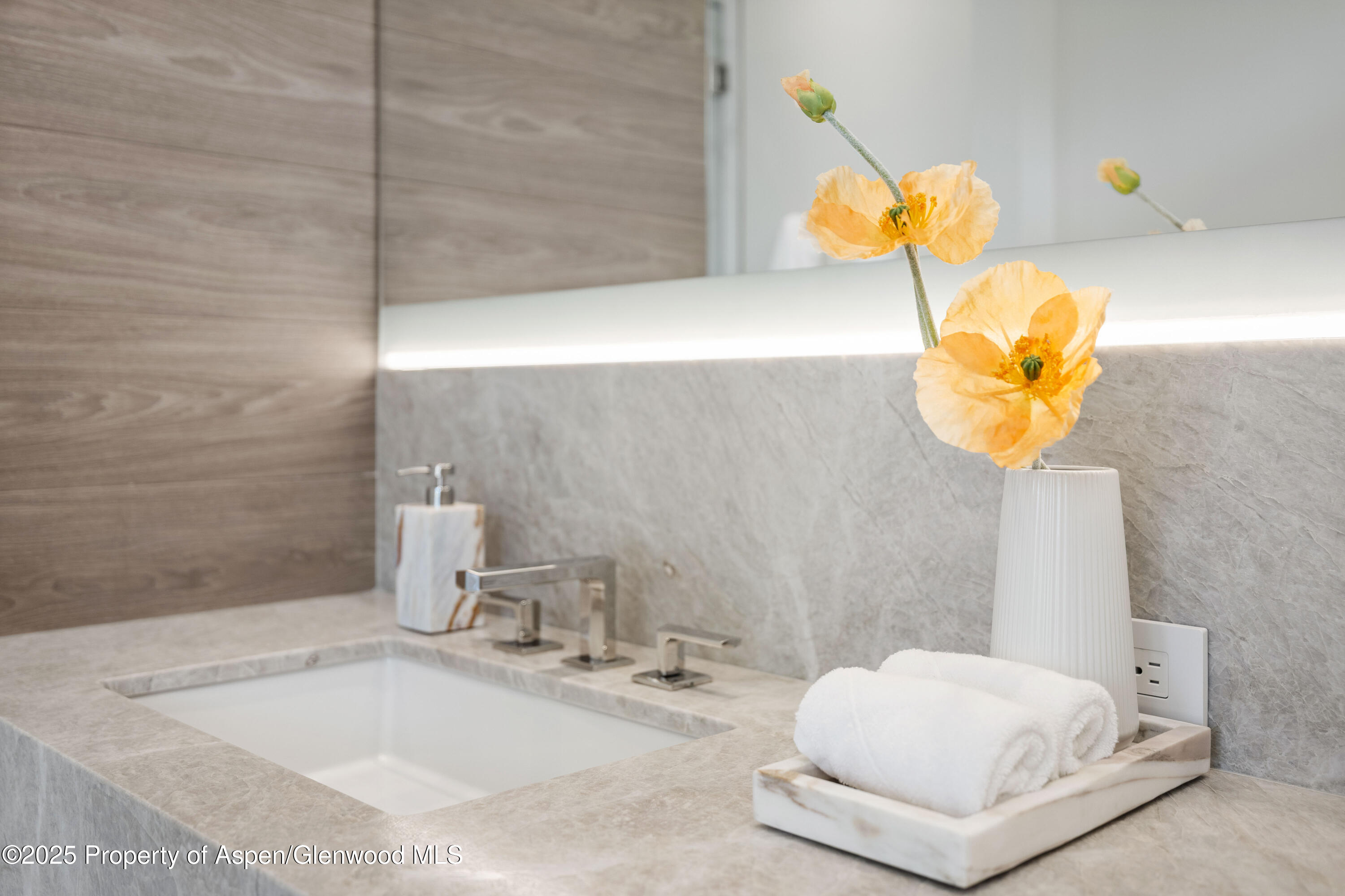 219 W Bleeker Street Aspen CO 81611