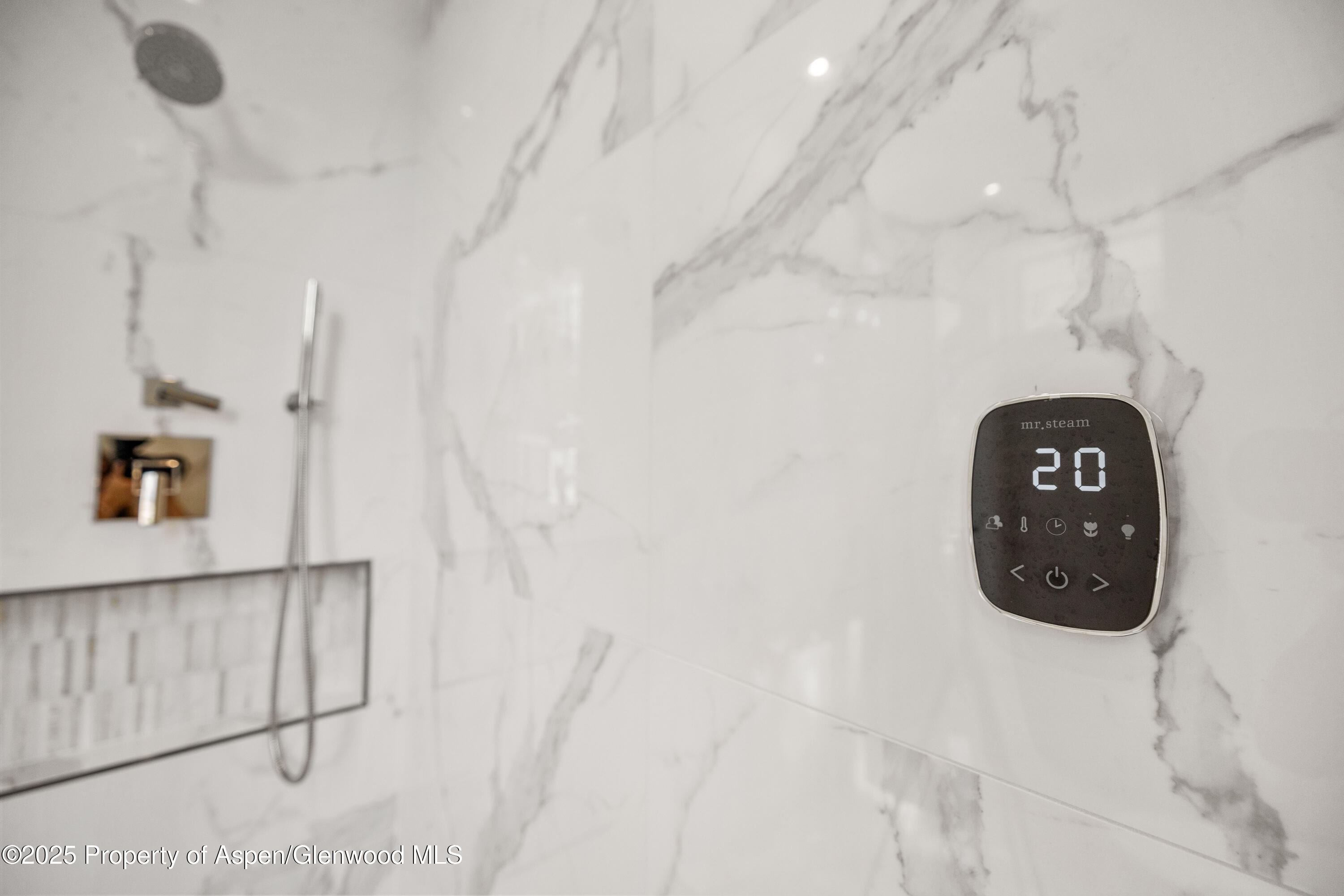 219 W Bleeker Street Aspen CO 81611