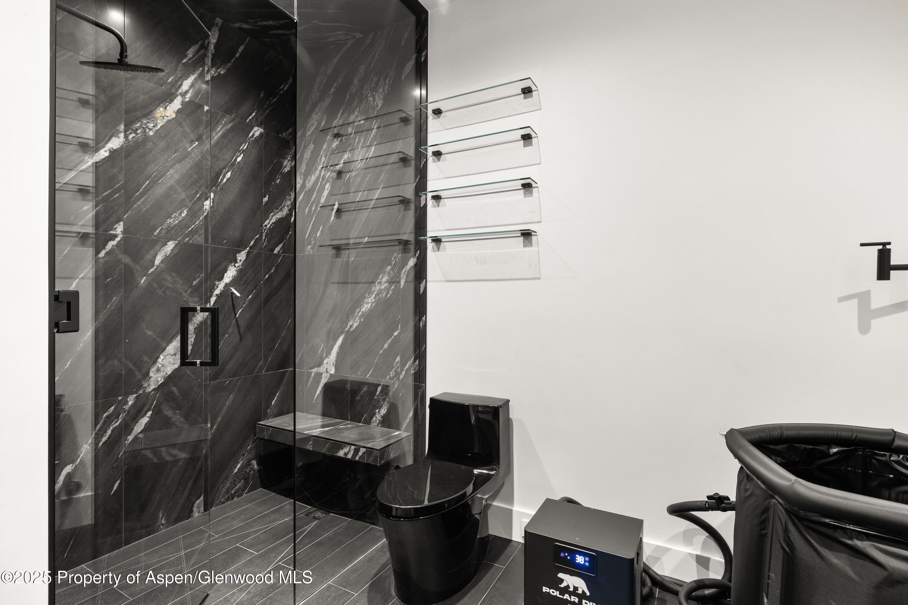 219 W Bleeker Street Aspen CO 81611