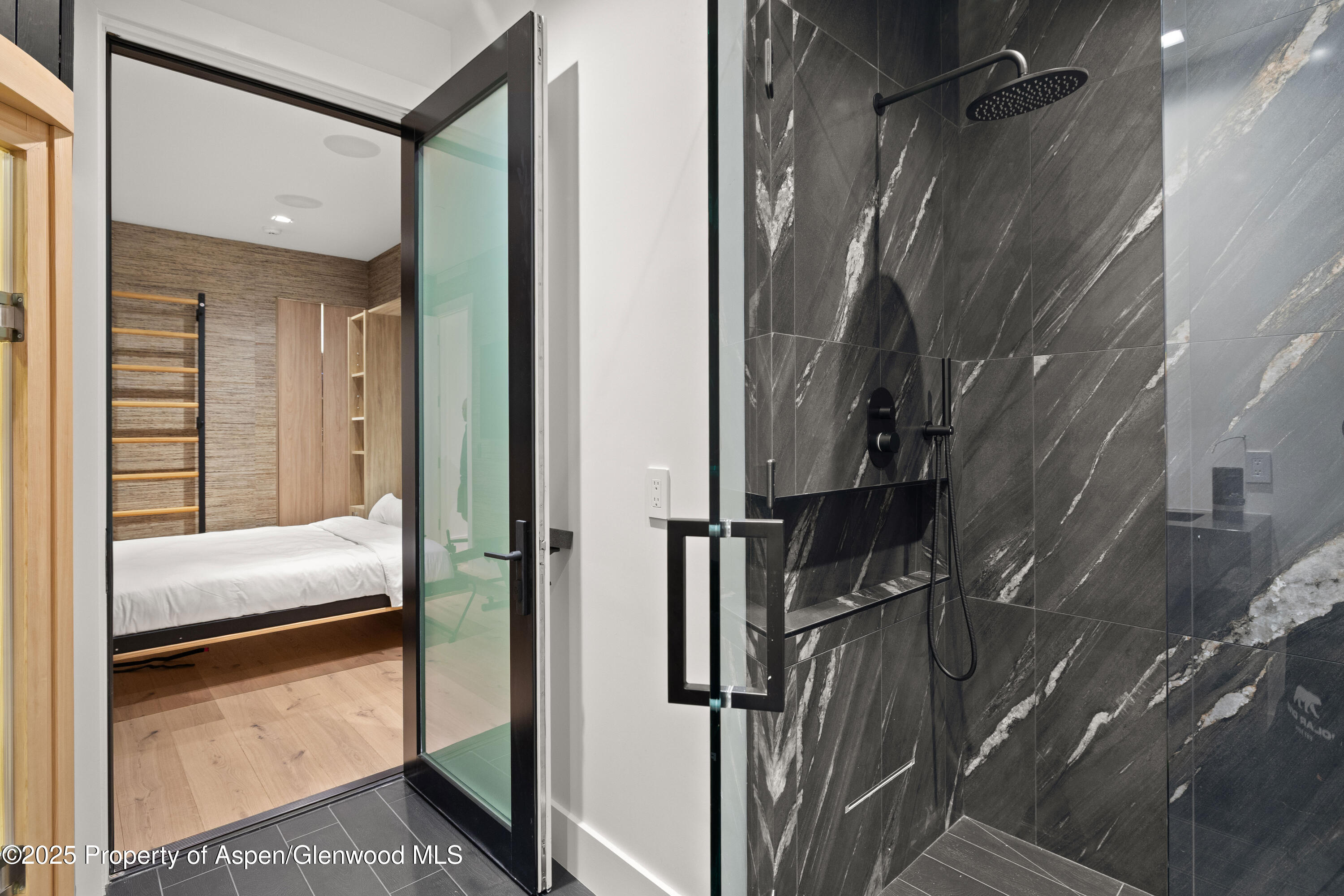 219 W Bleeker Street Aspen CO 81611