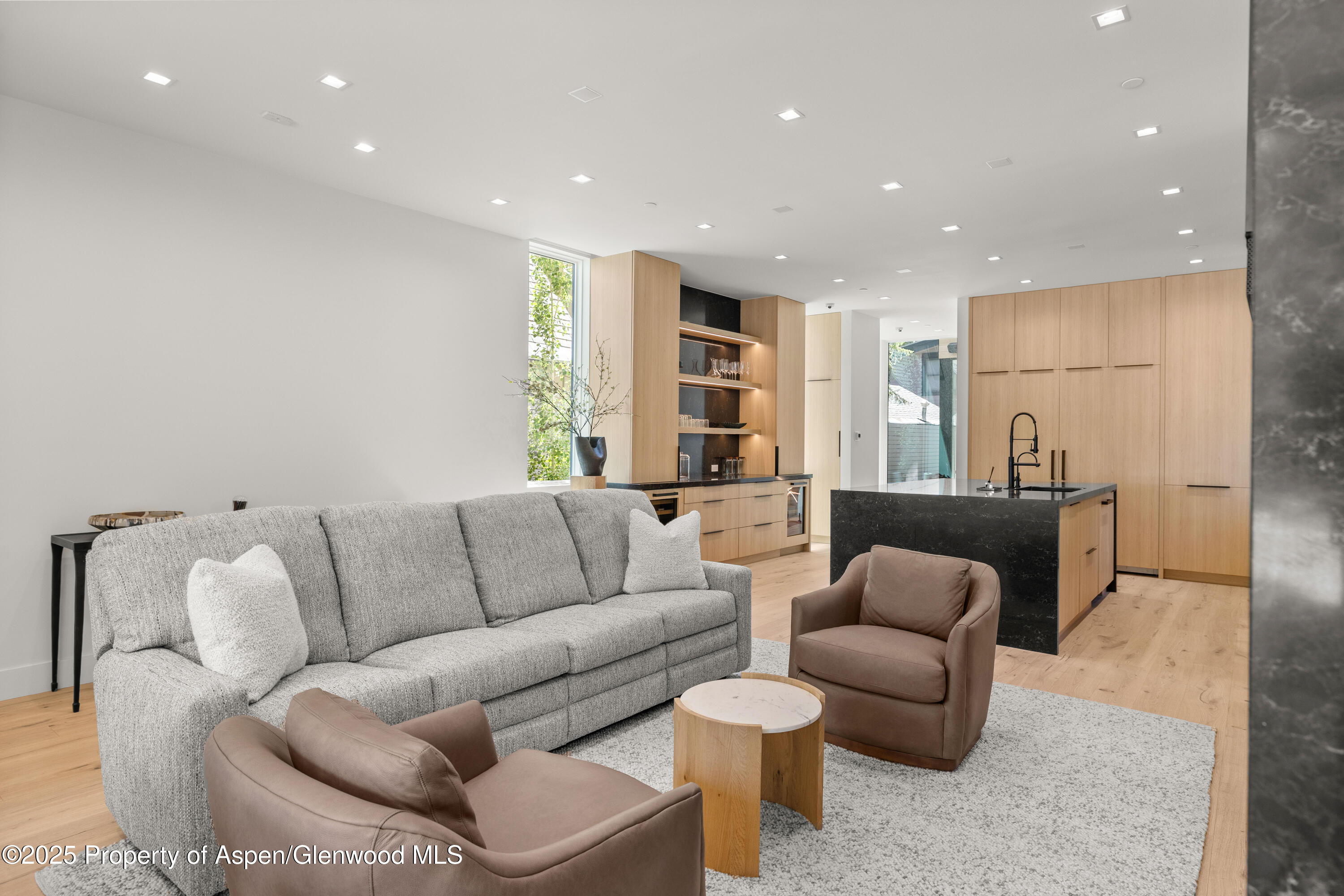 219 W Bleeker Street Aspen CO 81611