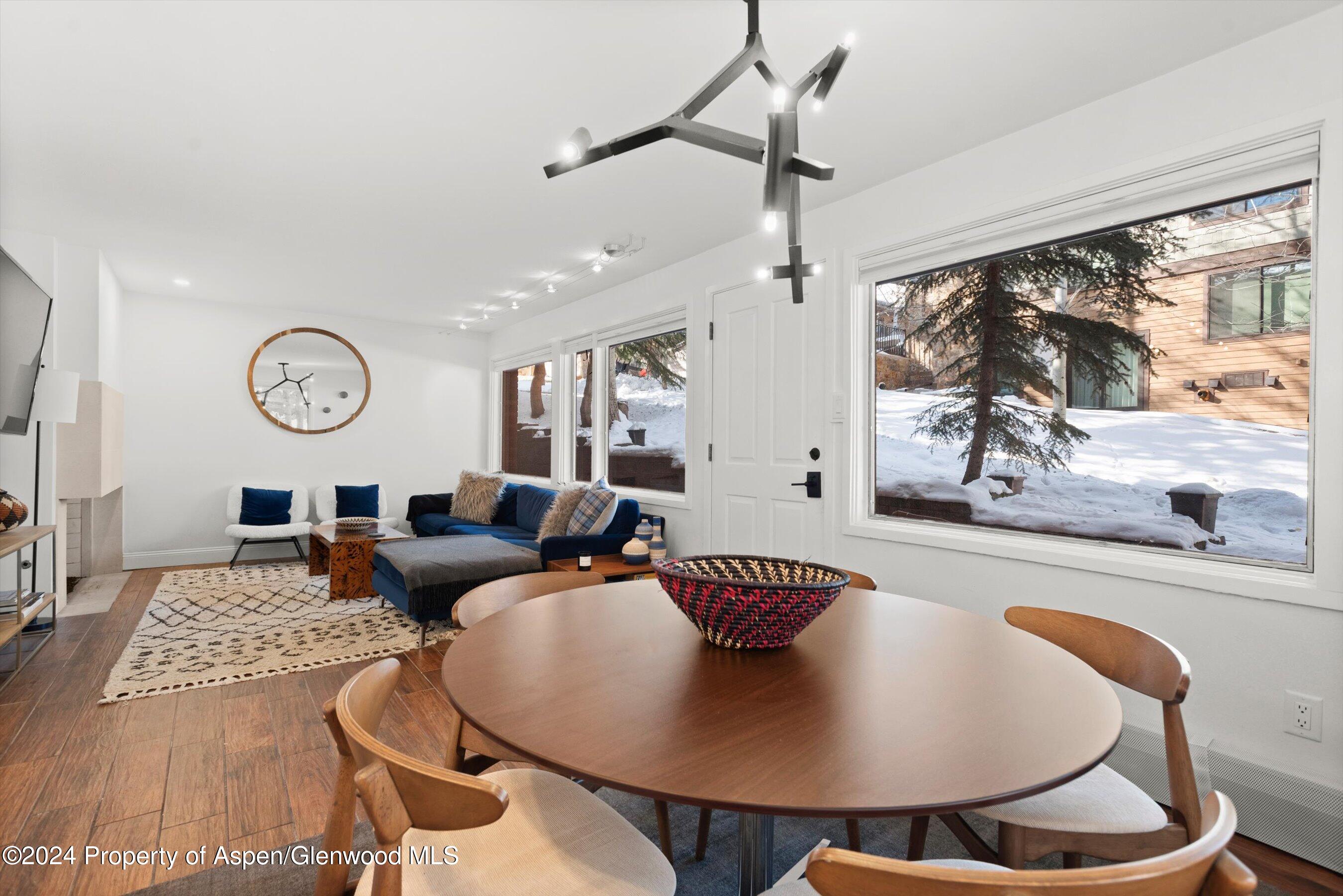 731 S Mill Street Aspen CO 81611