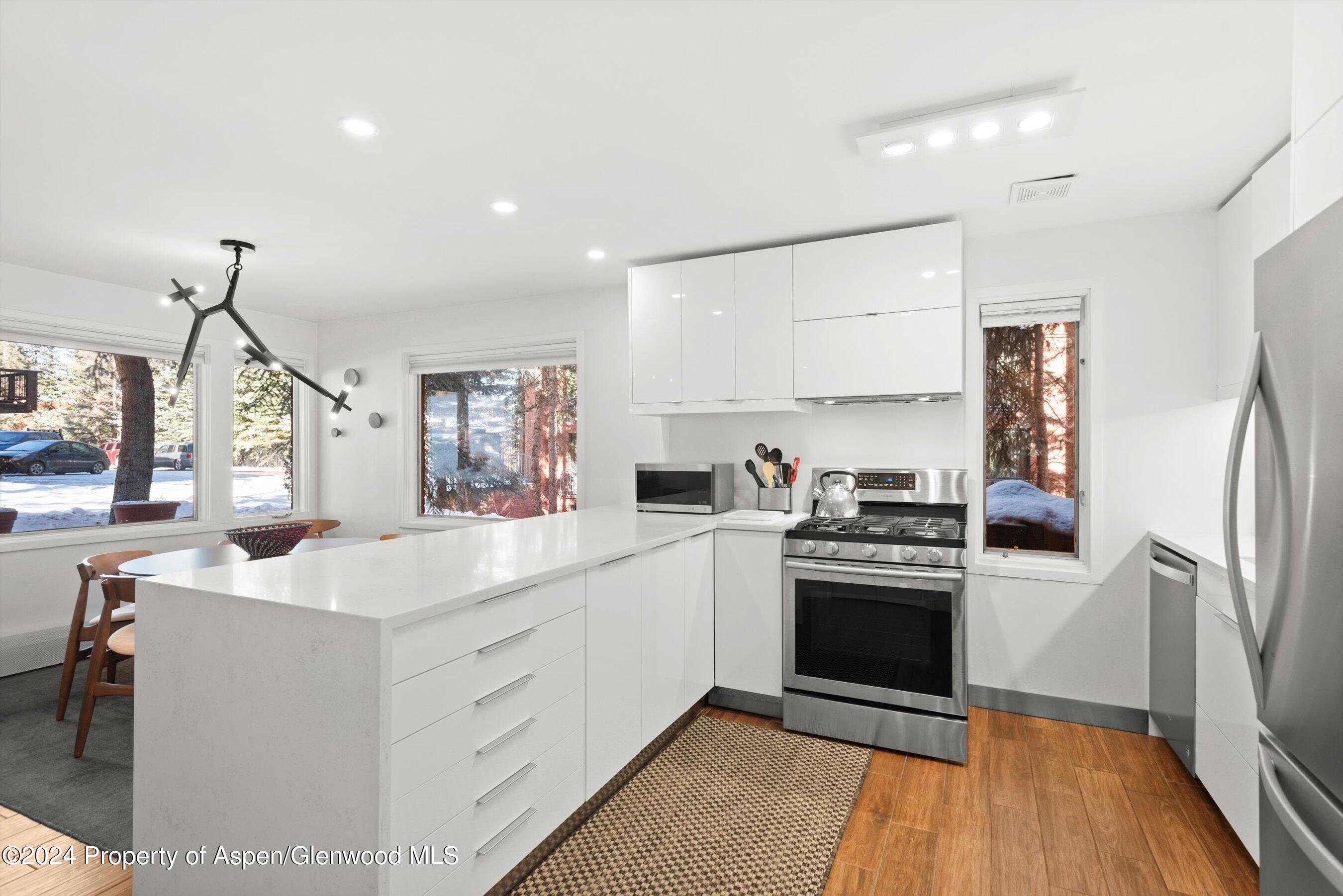 731 S Mill Street Aspen CO 81611