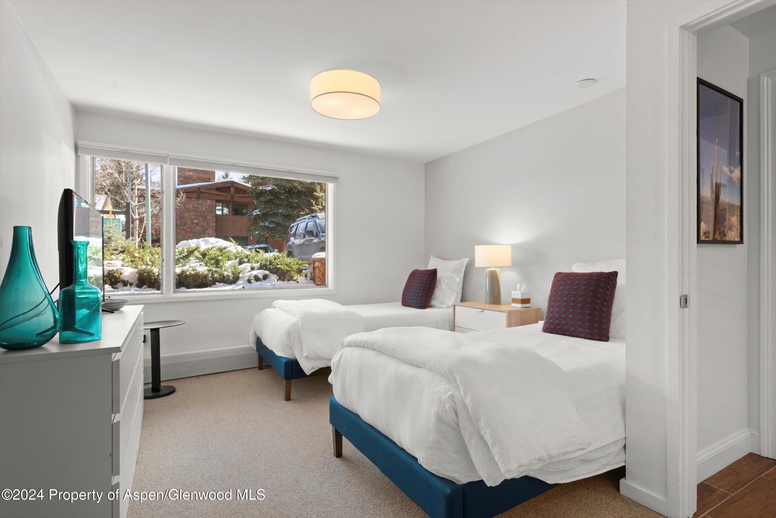 731 S Mill Street Aspen CO 81611