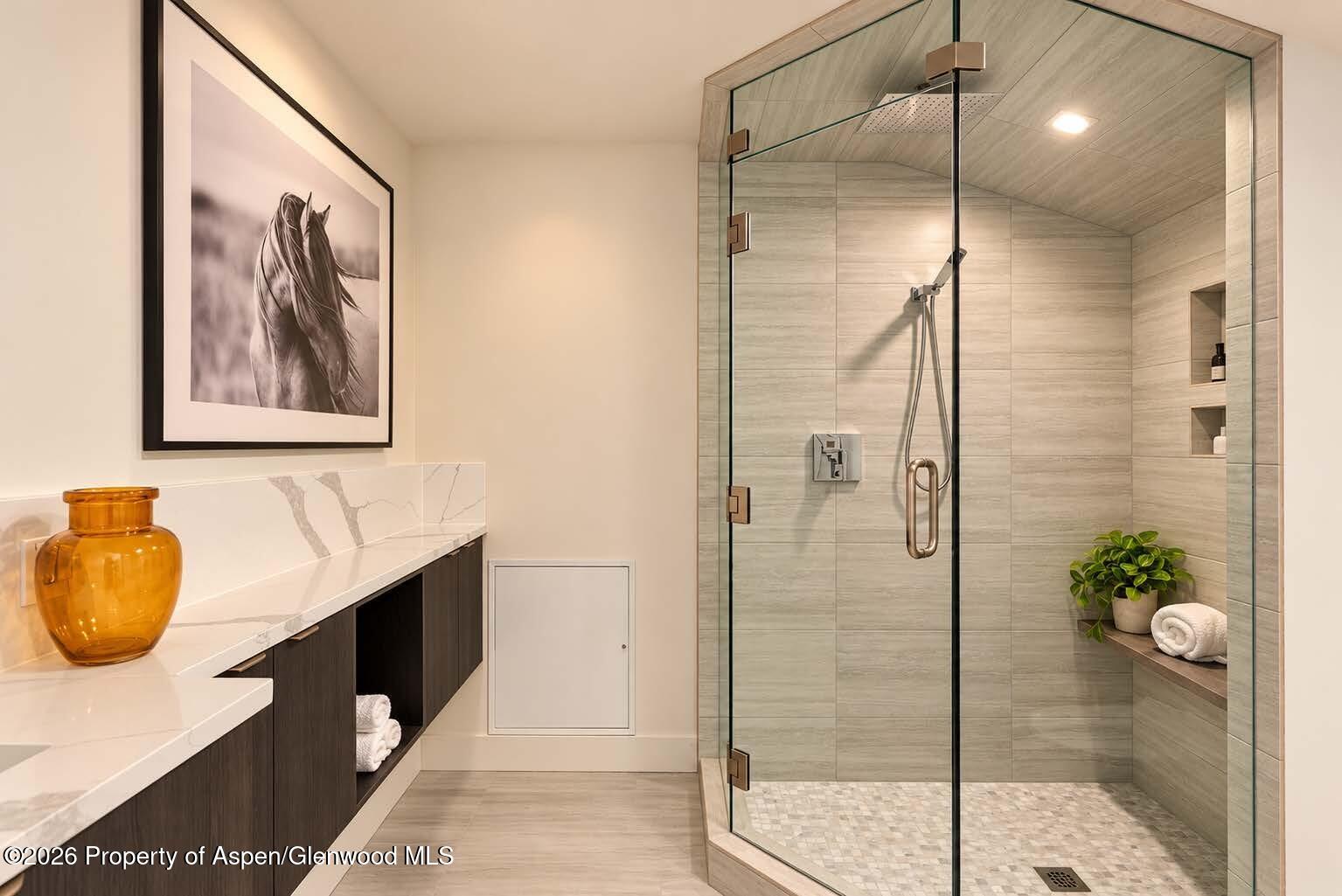 205 Stellar Lane Snowmass Village CO 81615