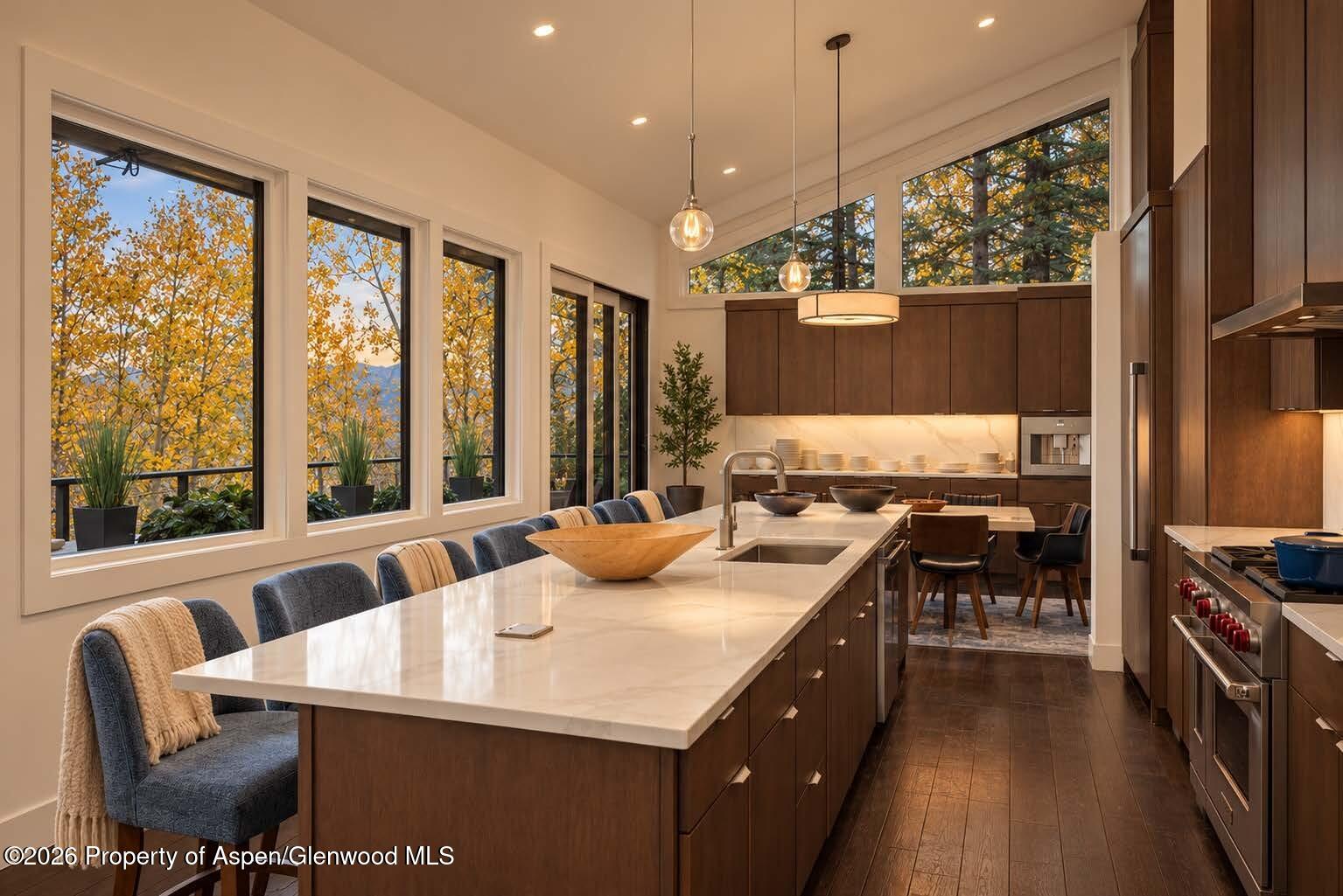 205 Stellar Lane Snowmass Village CO 81615