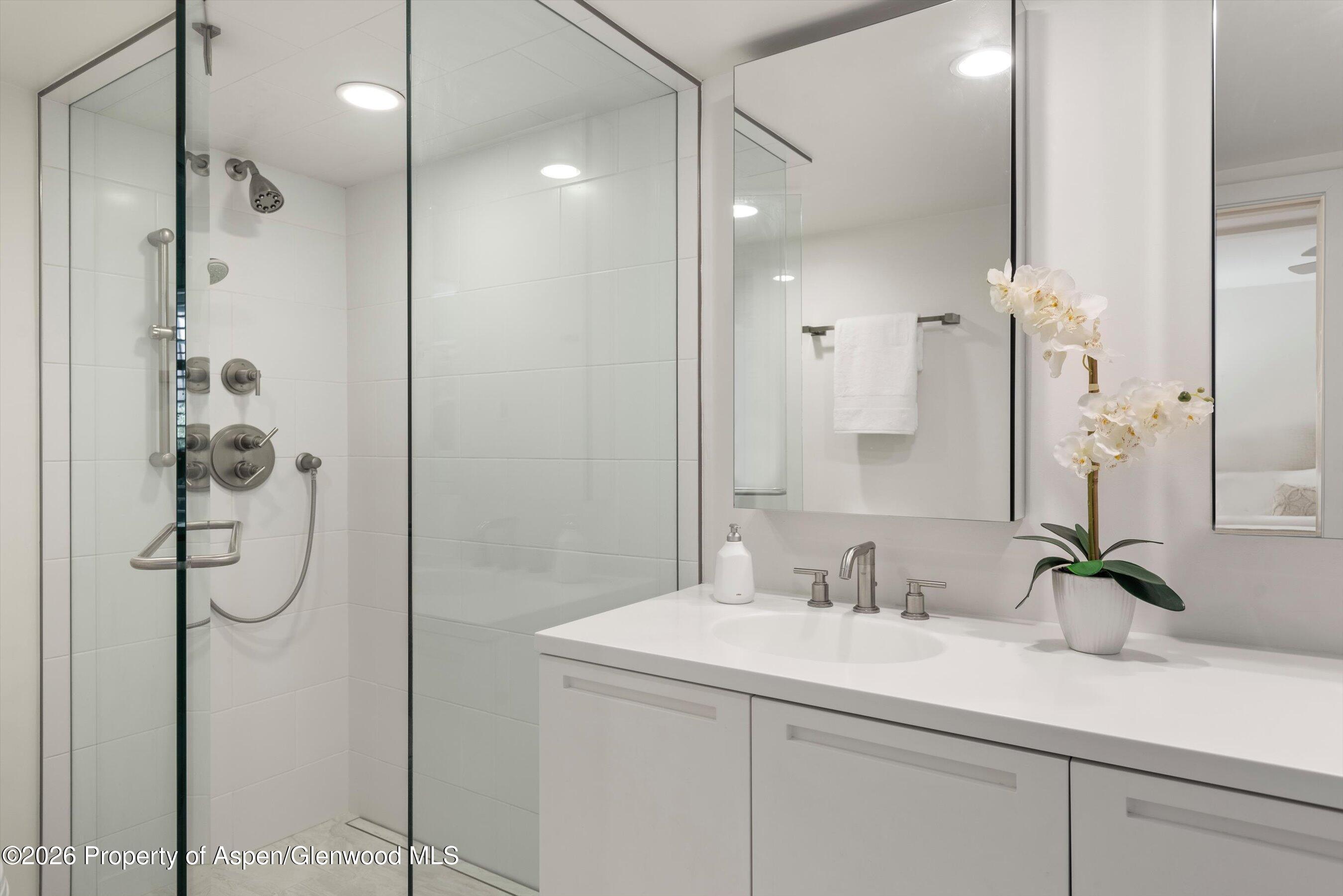 800 E Hopkins Avenue Aspen CO 81611