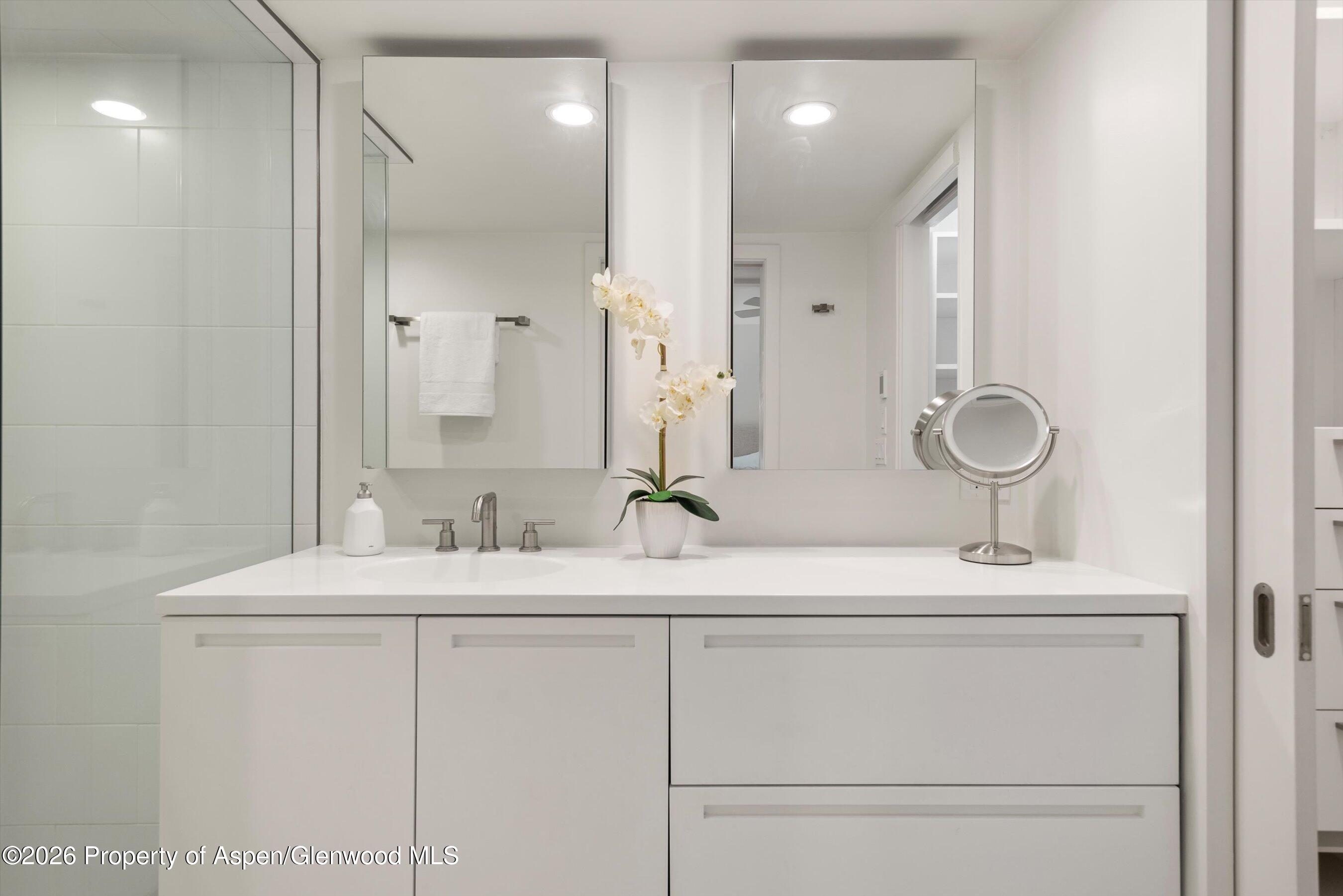 800 E Hopkins Avenue Aspen CO 81611