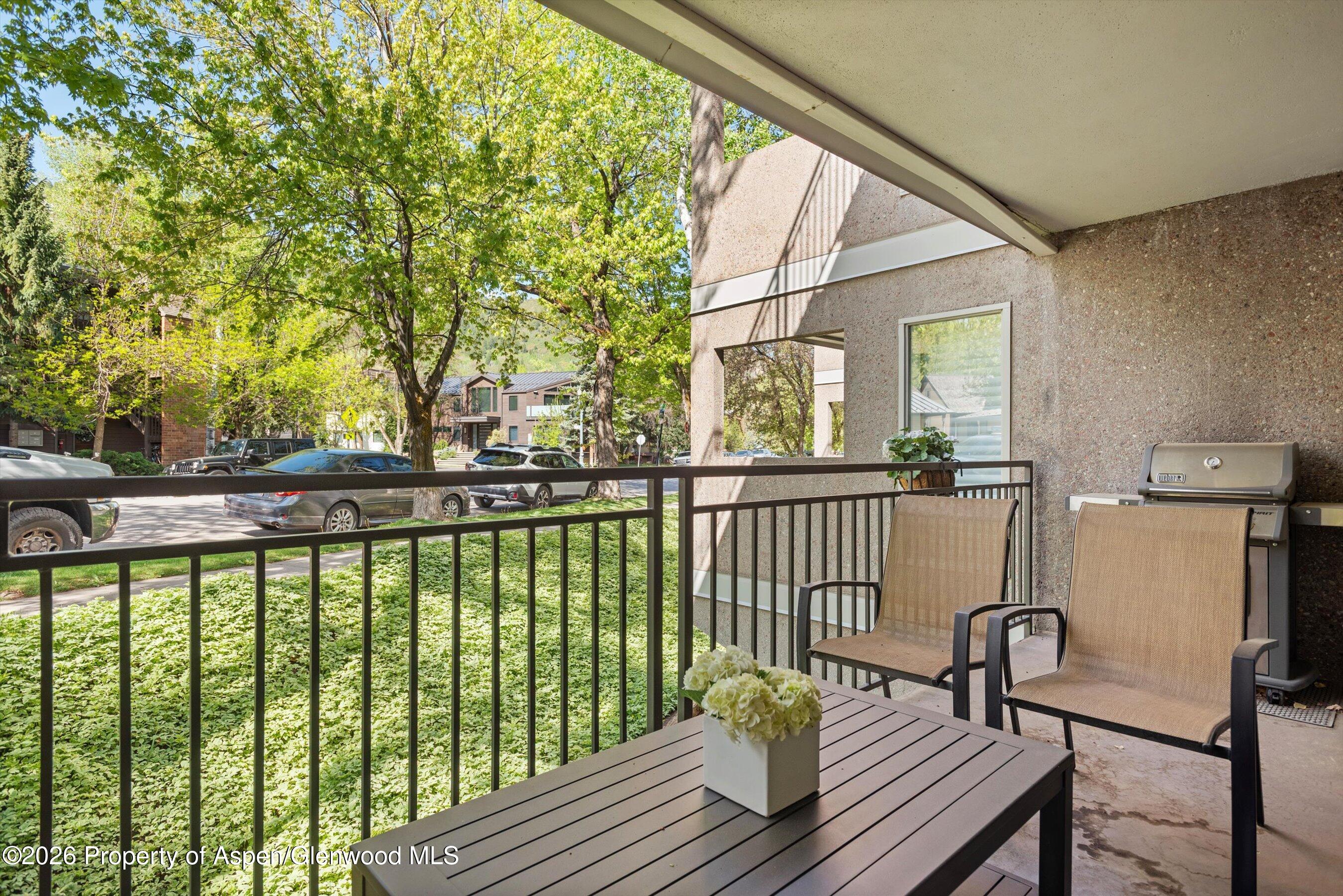 800 E Hopkins Avenue Aspen CO 81611