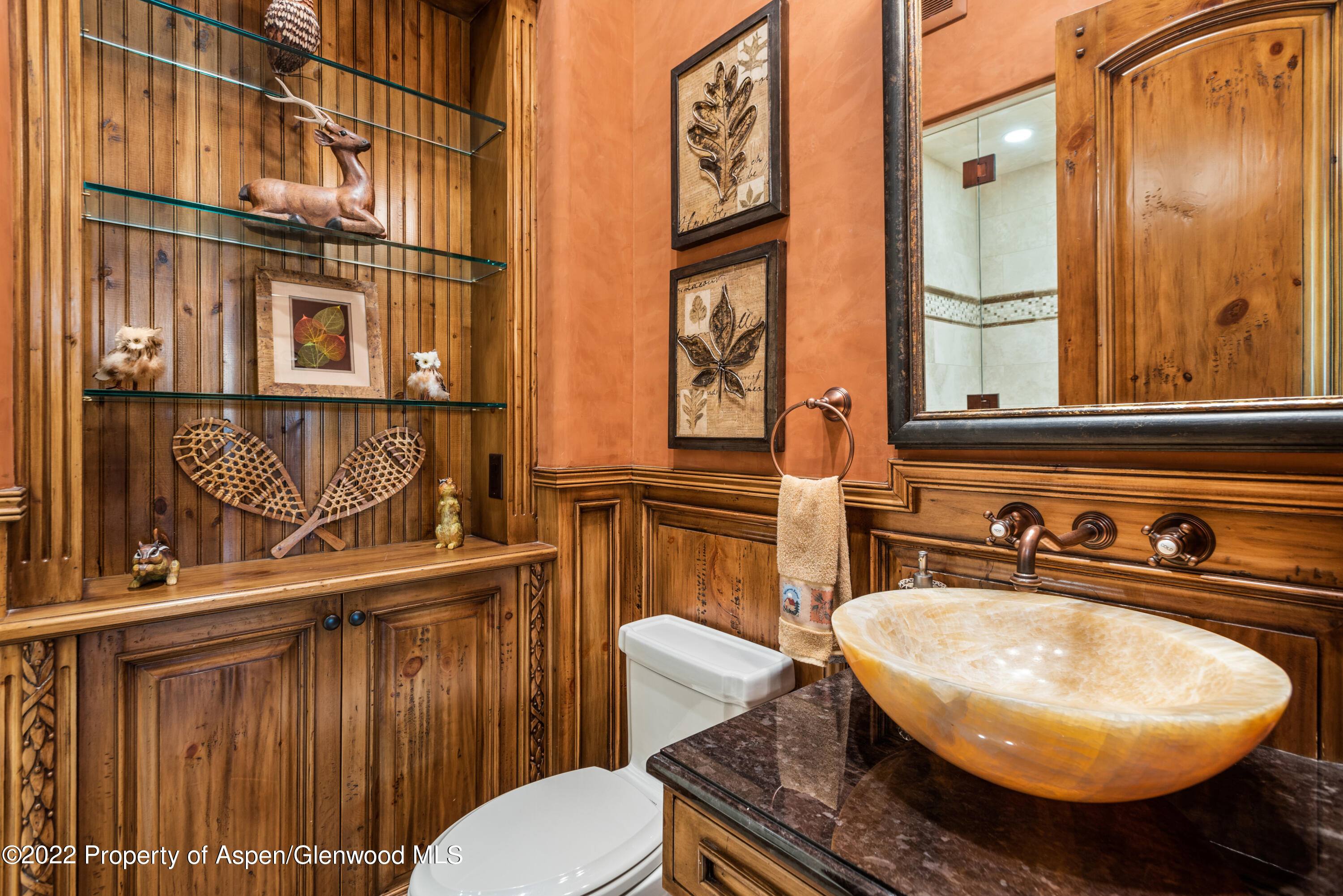 845 Serviceberry Lane Snowmass Village CO 81615