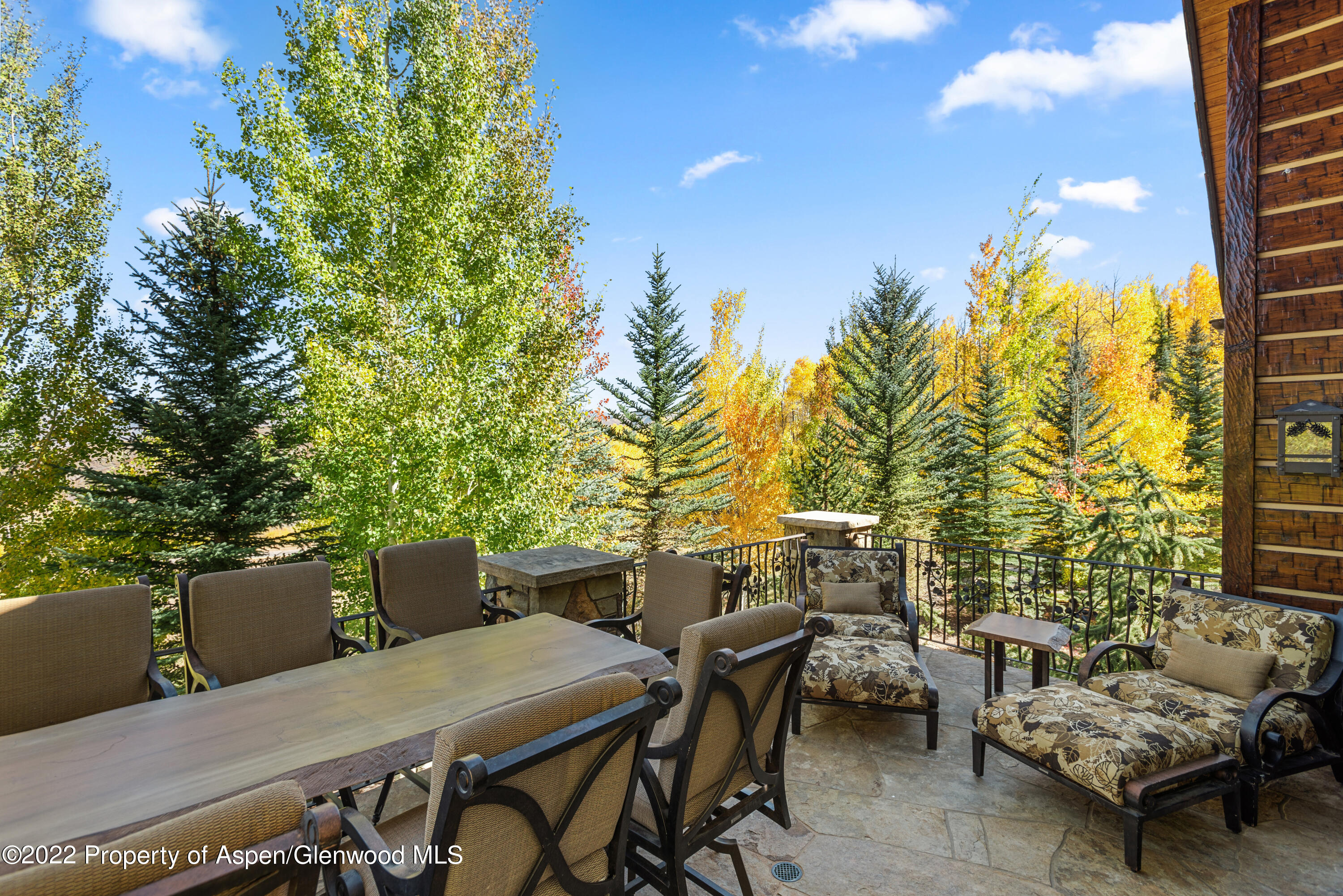 845 Serviceberry Lane Snowmass Village CO 81615