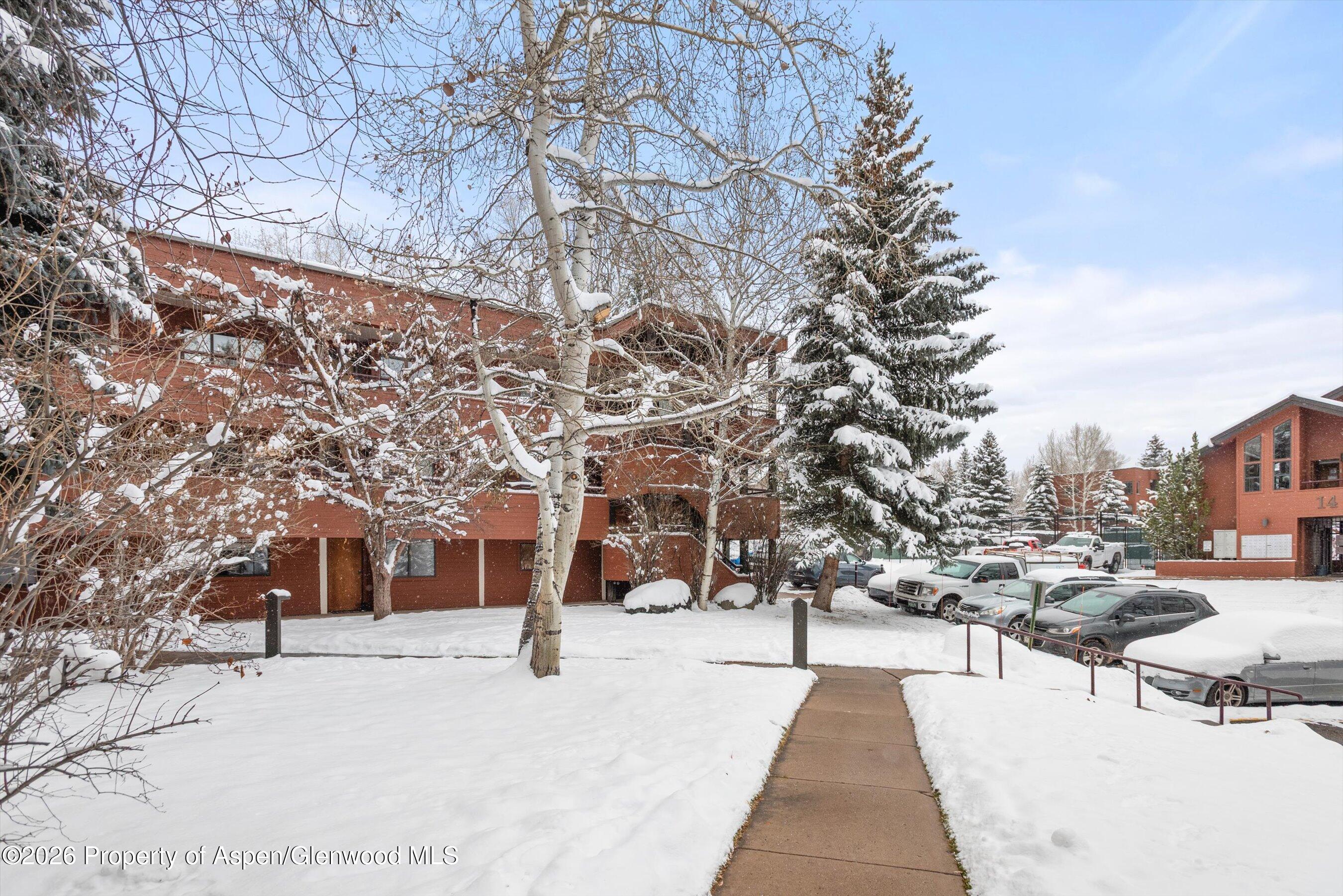 1317 Vine Street Aspen CO 81611