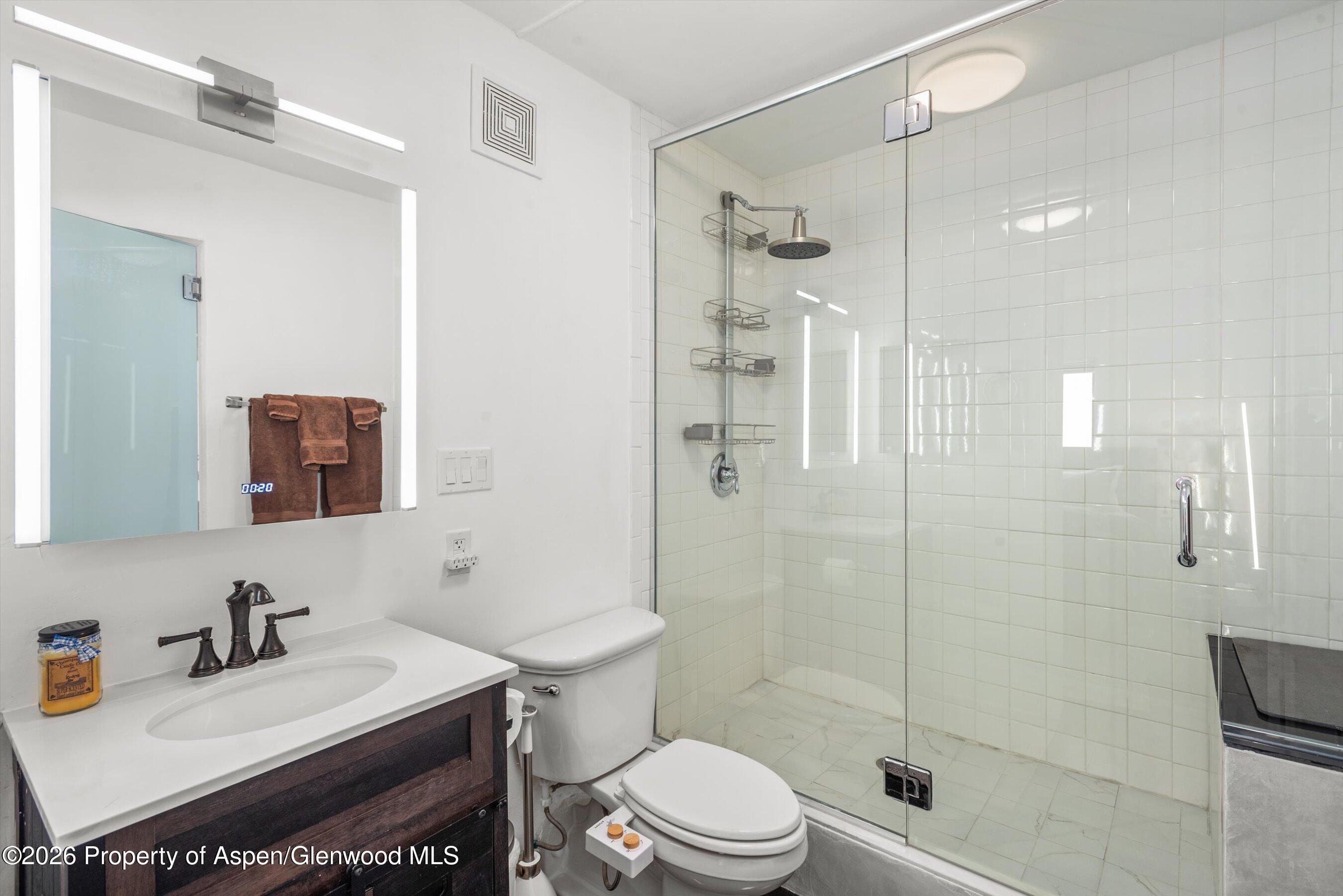 1317 Vine Street Aspen CO 81611