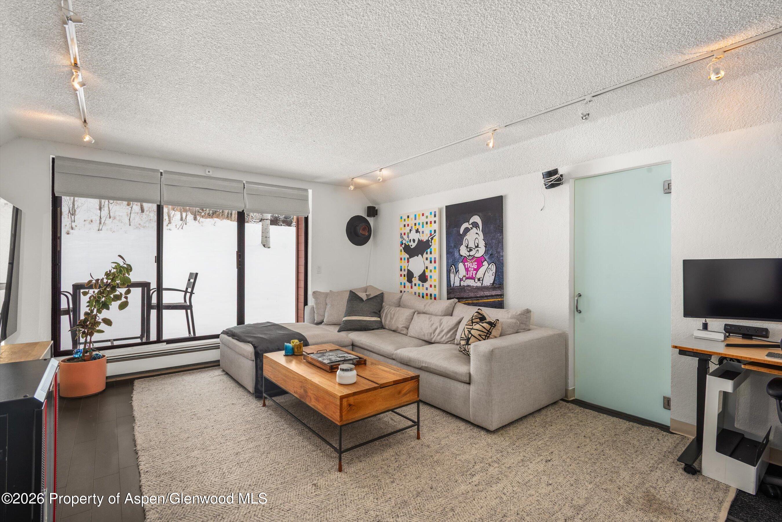 1317 Vine Street Aspen CO 81611