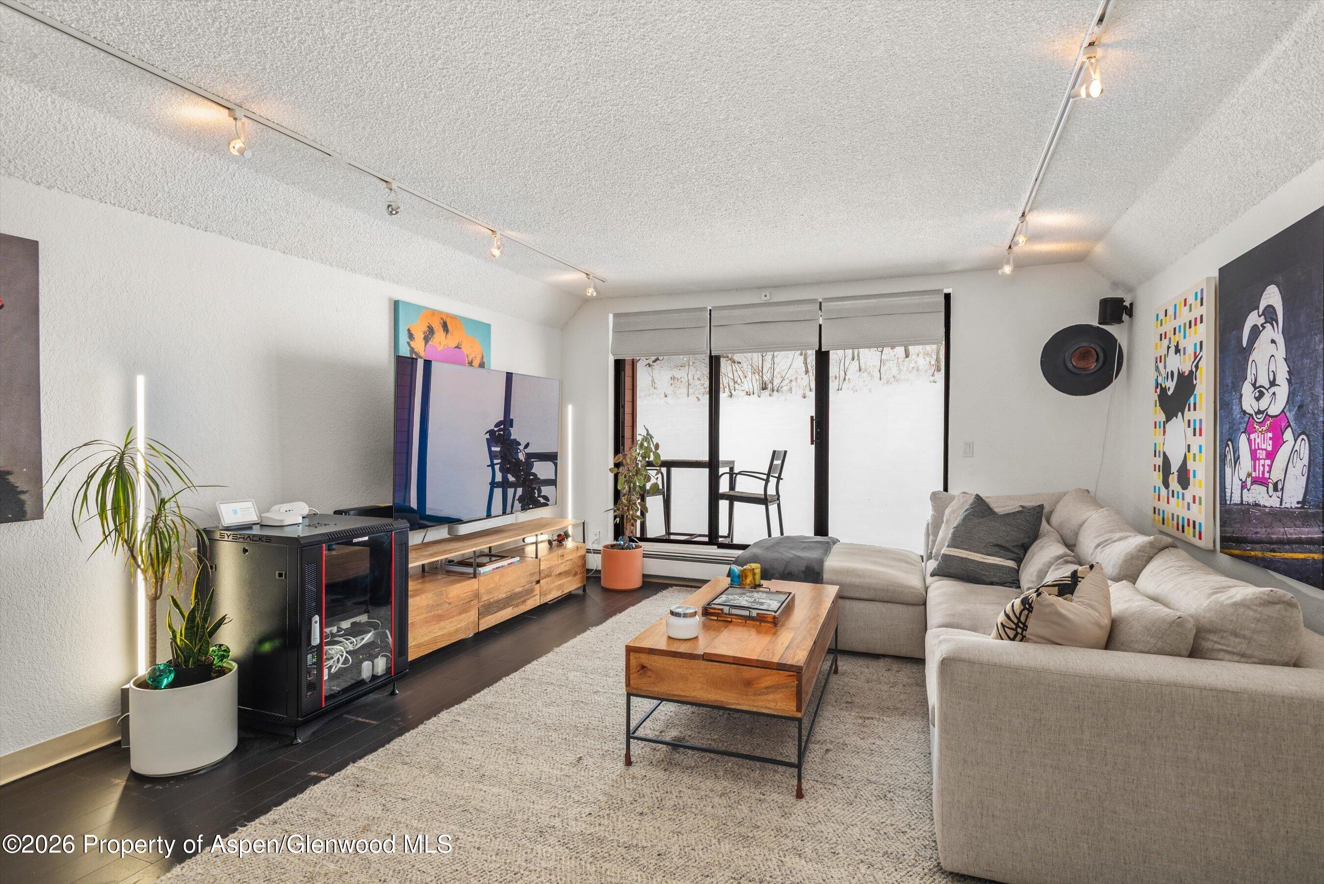 1317 Vine Street Aspen CO 81611