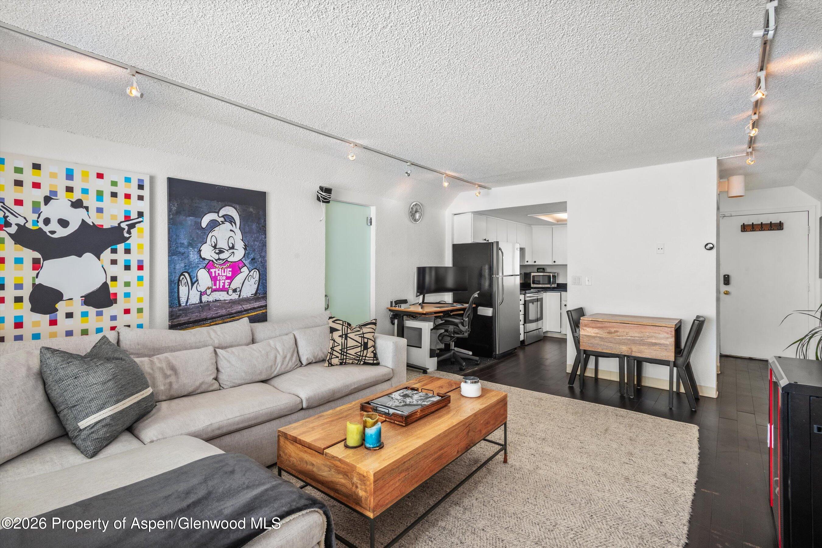 1317 Vine Street Aspen CO 81611