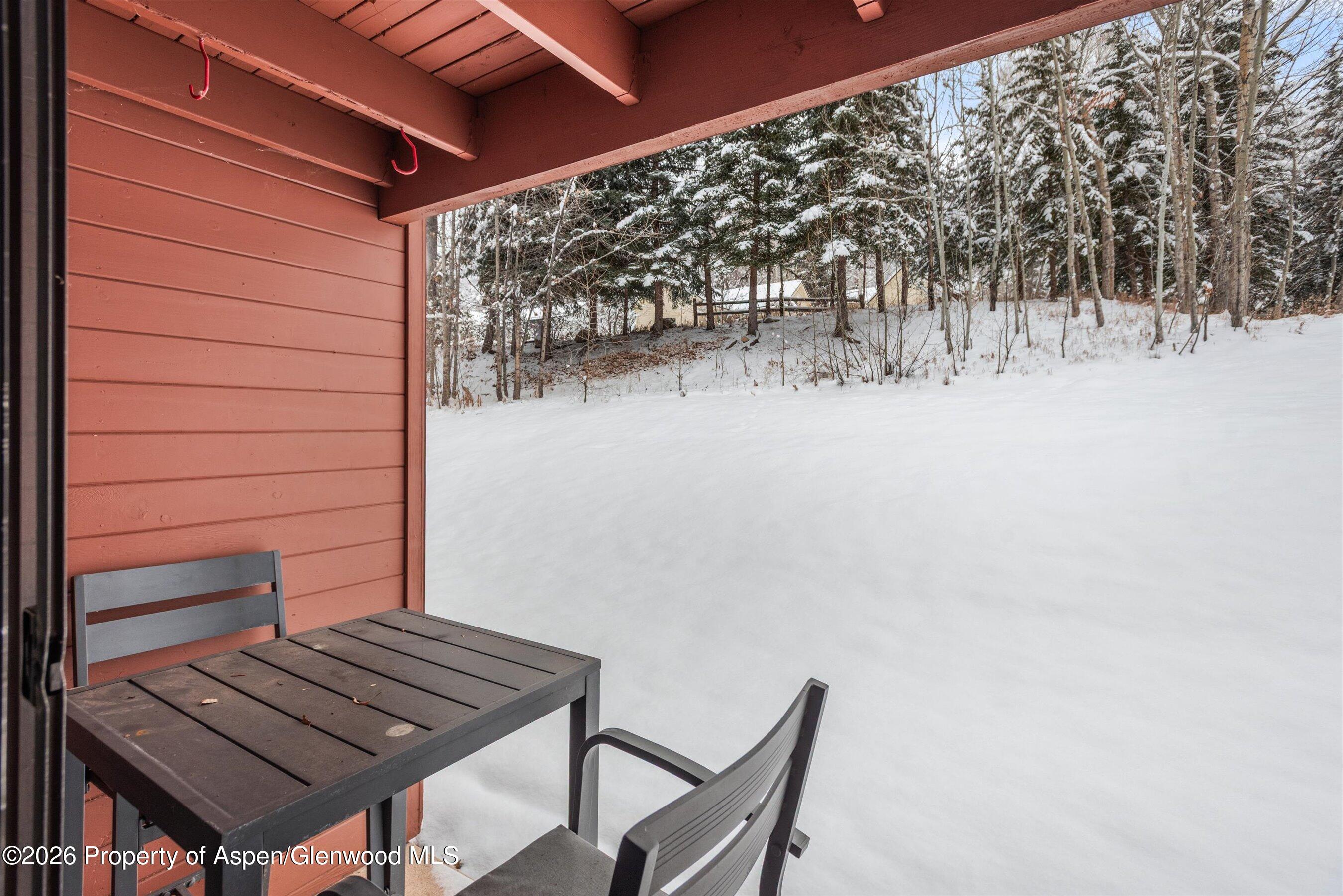 1317 Vine Street Aspen CO 81611