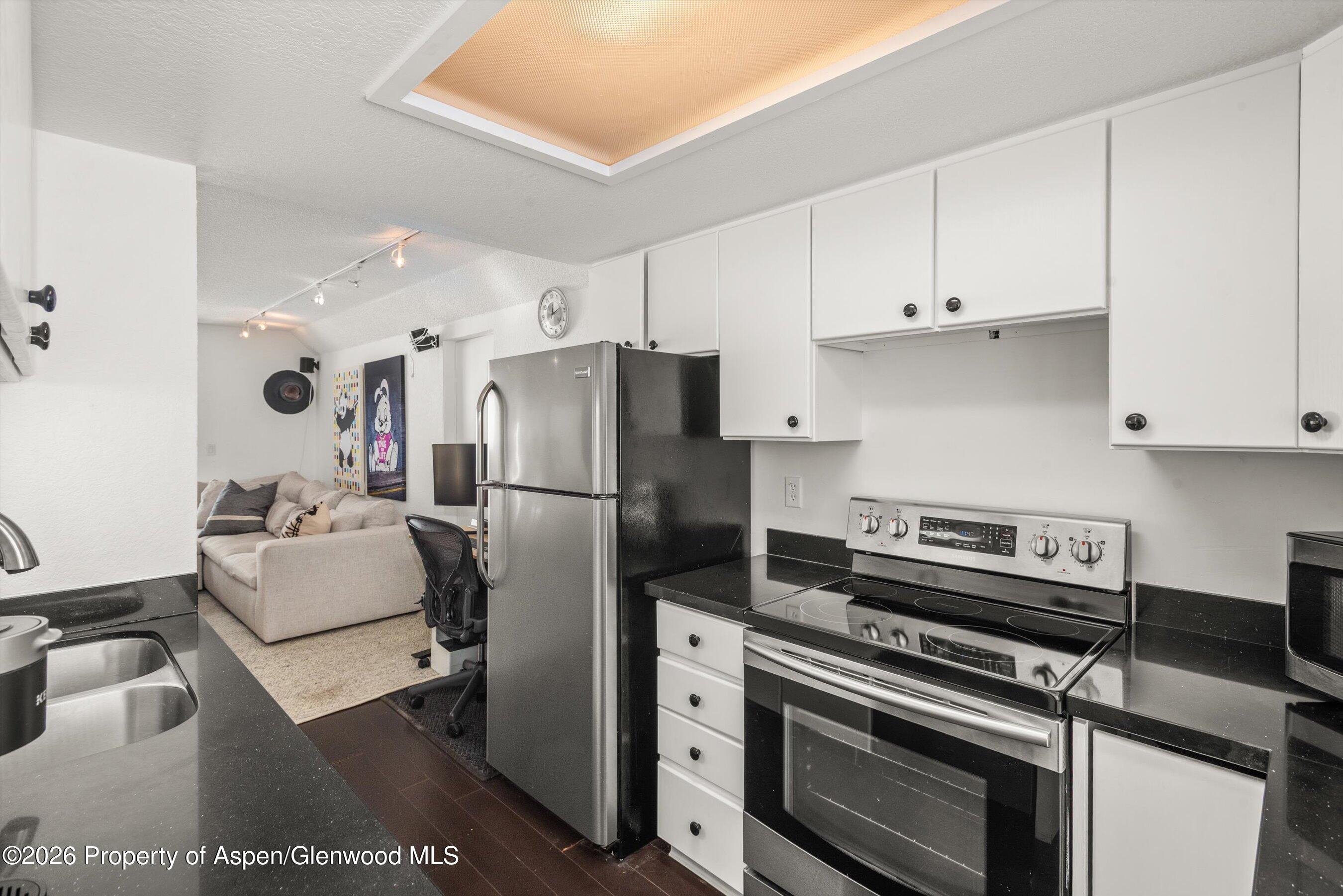 1317 Vine Street Aspen CO 81611
