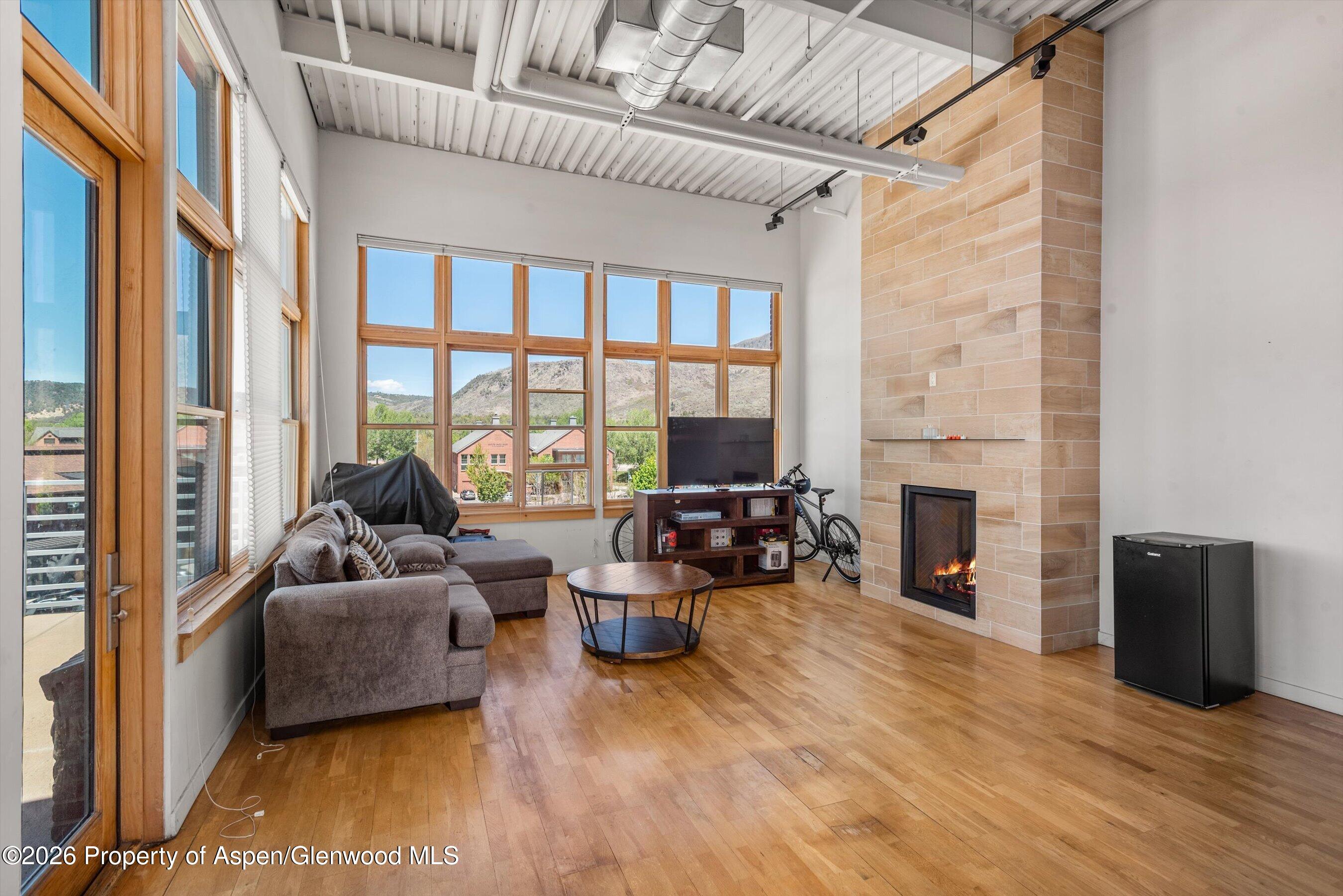 231 Robinson Street Basalt CO 81621