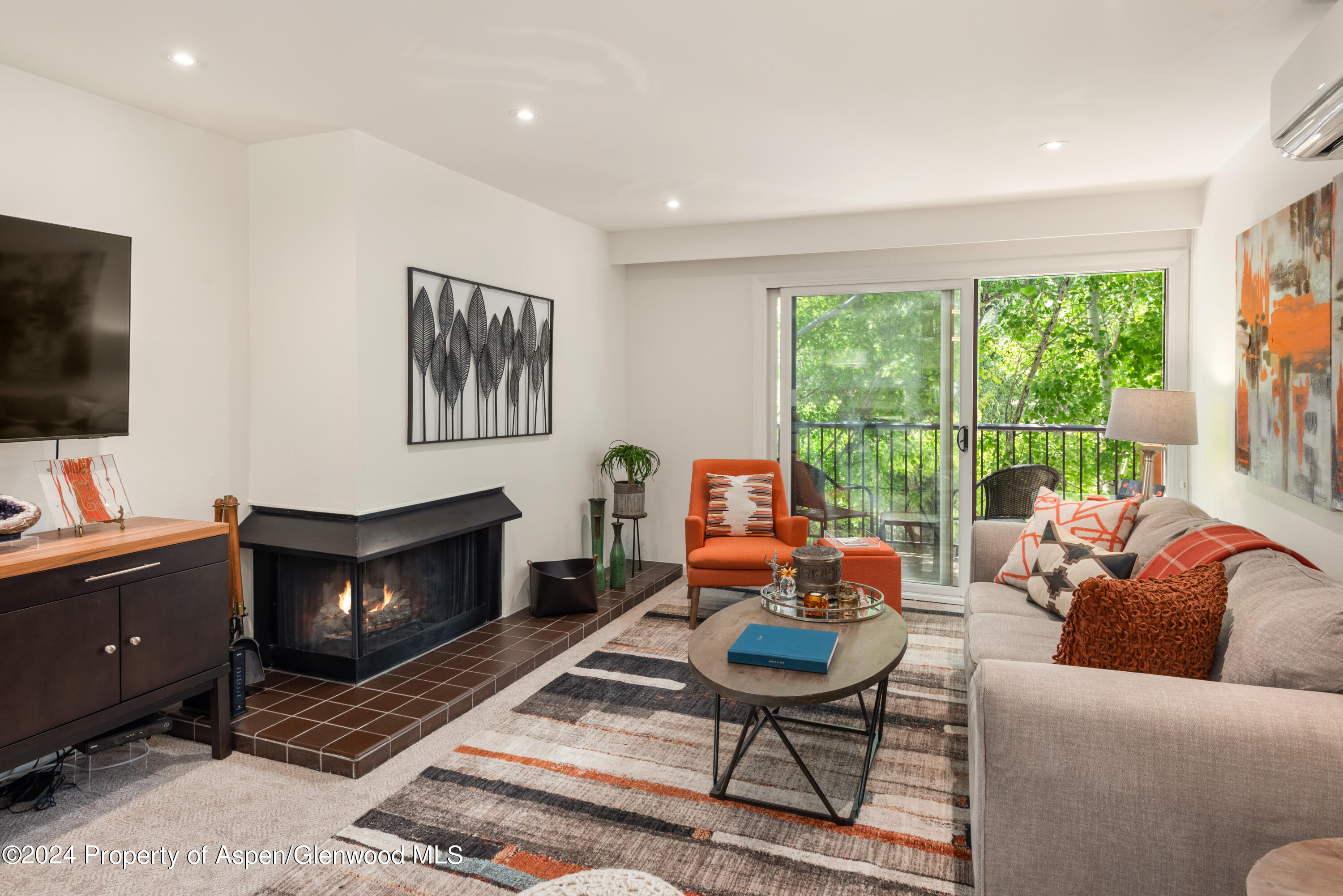 205 E Durant Avenue Aspen CO 81611