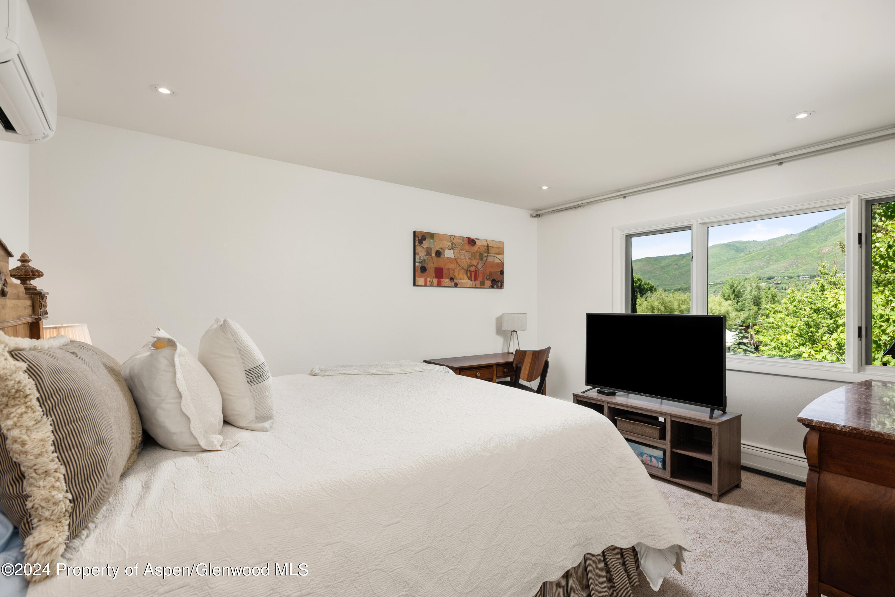 205 E Durant Avenue Aspen CO 81611