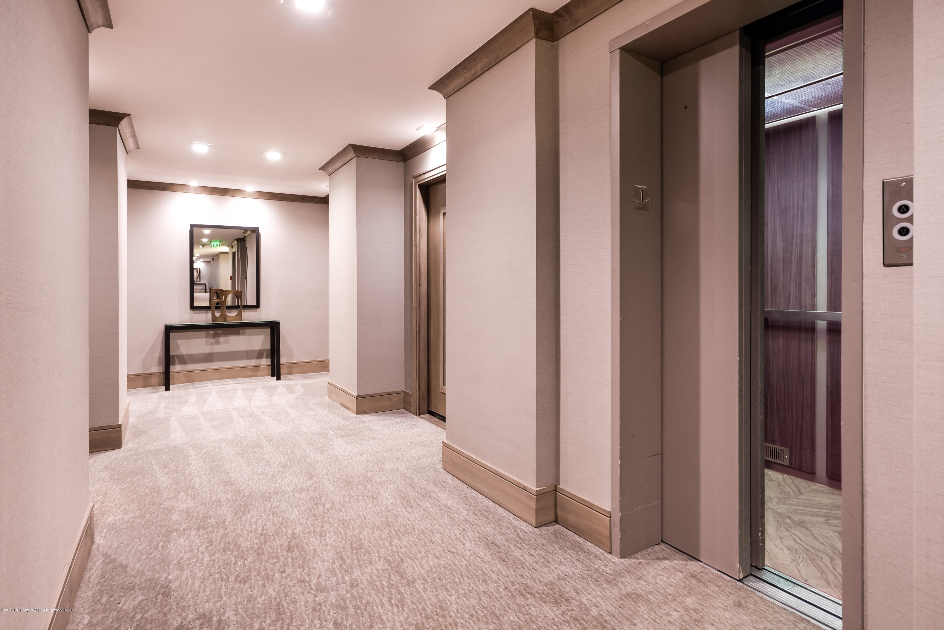 205 E Durant Avenue Aspen CO 81611