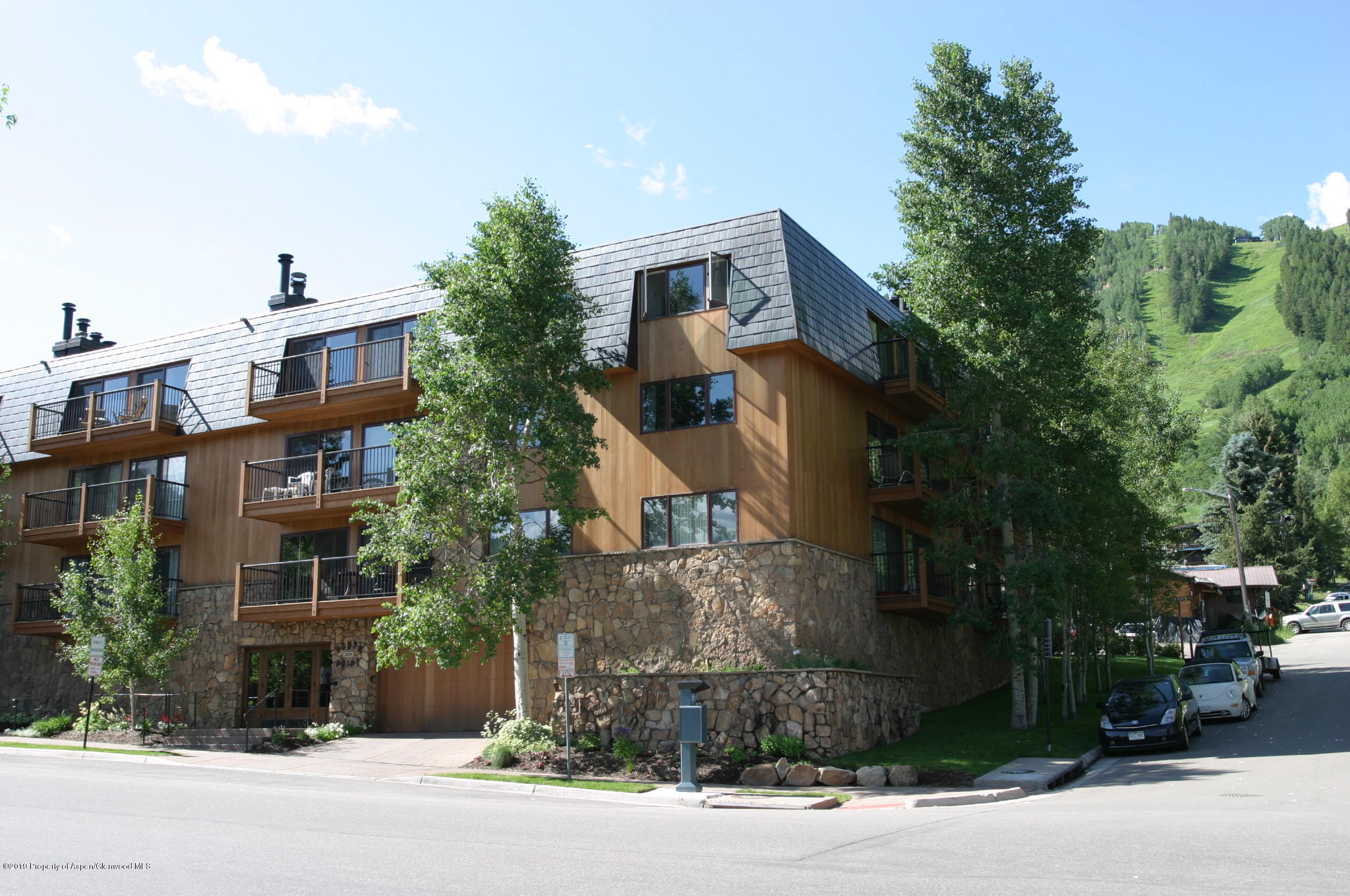 205 E Durant Avenue Aspen CO 81611