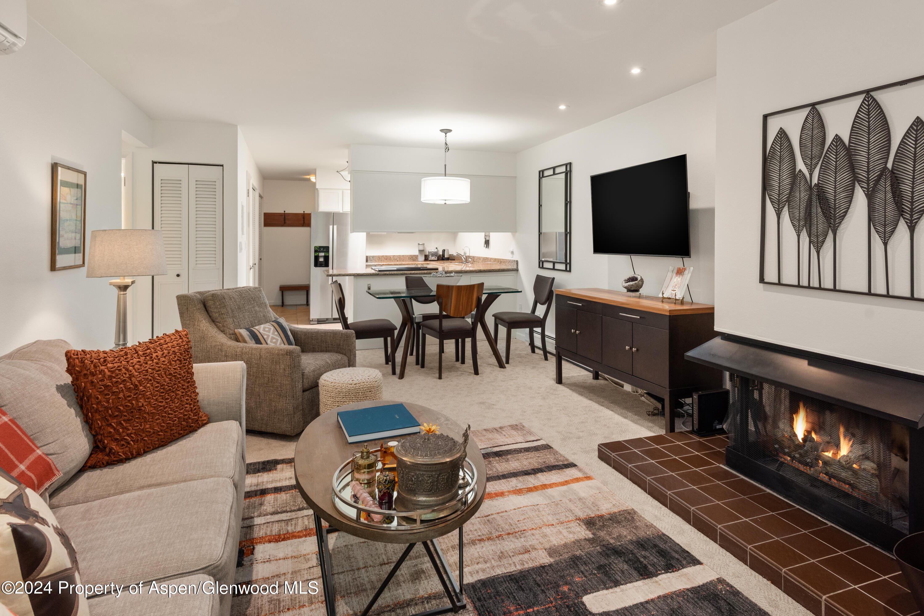 205 E Durant Avenue Aspen CO 81611