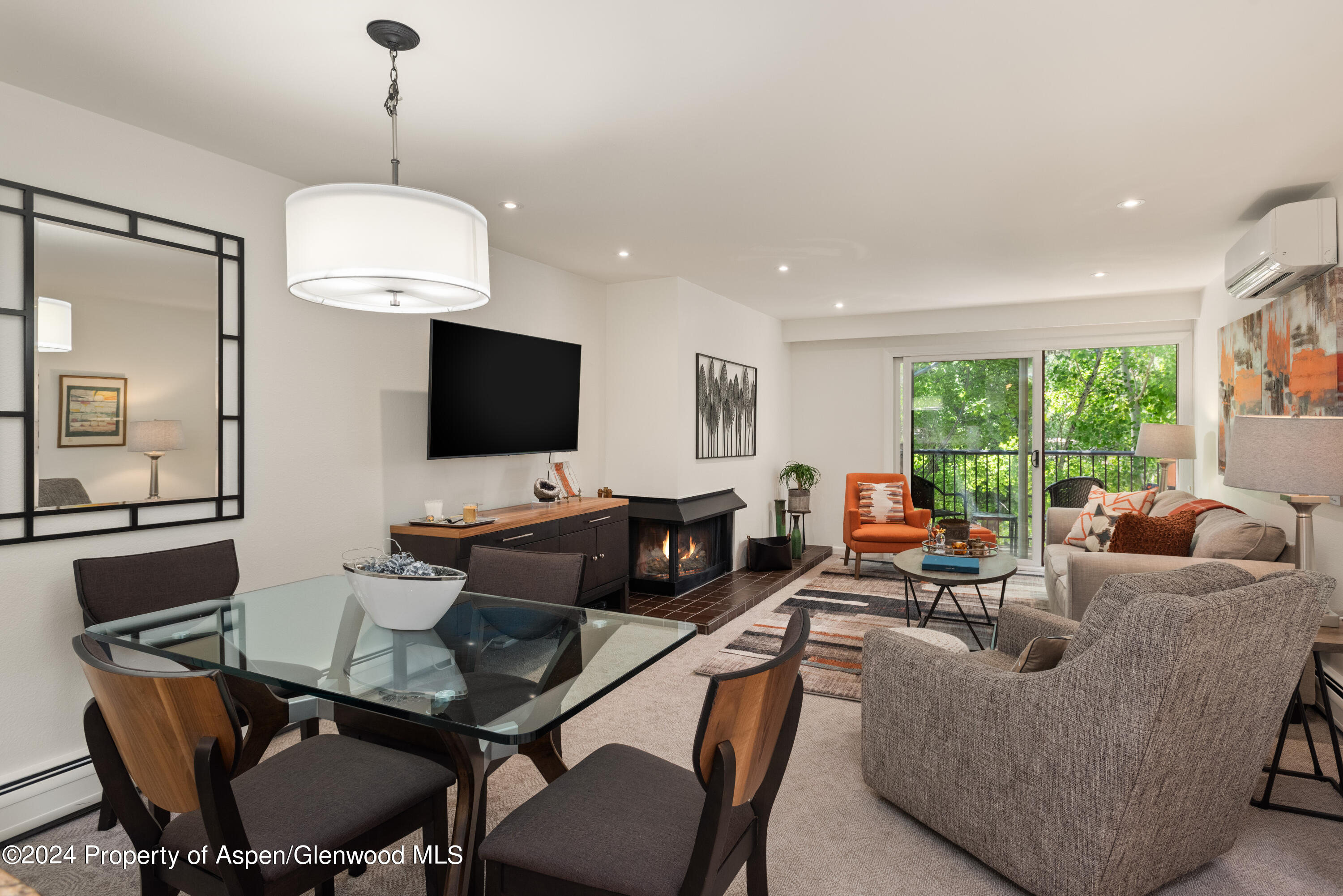 205 E Durant Avenue Aspen CO 81611