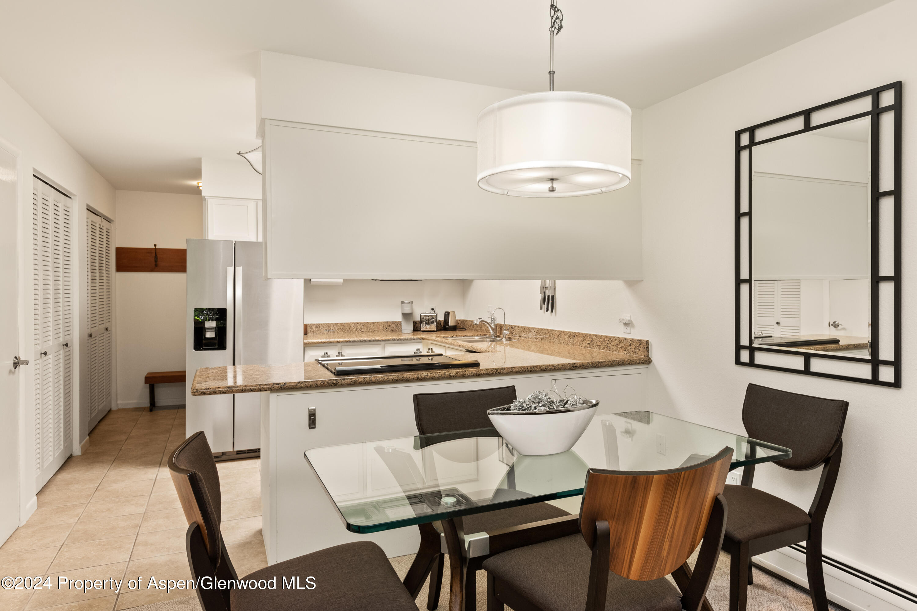 205 E Durant Avenue Aspen CO 81611