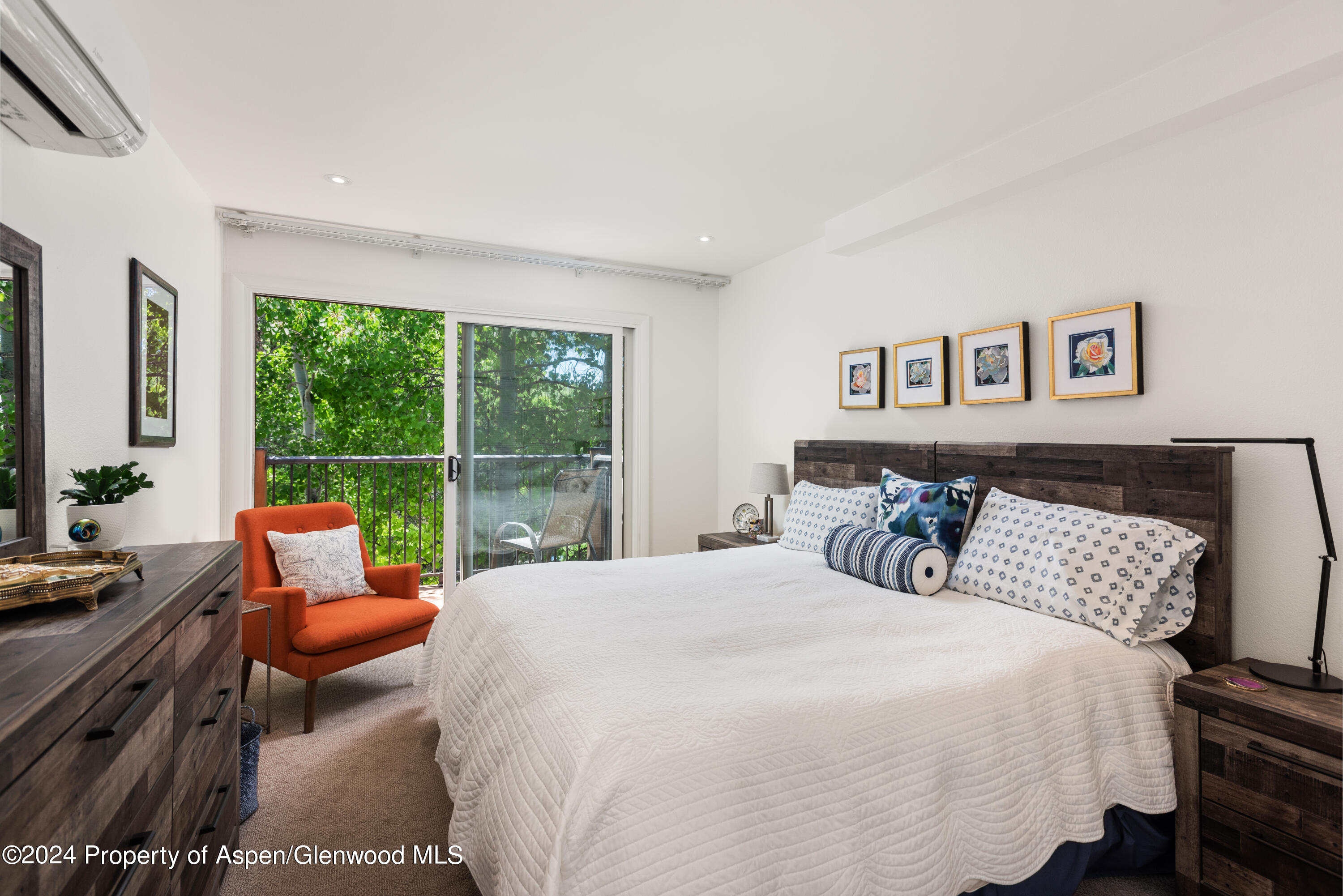 205 E Durant Avenue Aspen CO 81611