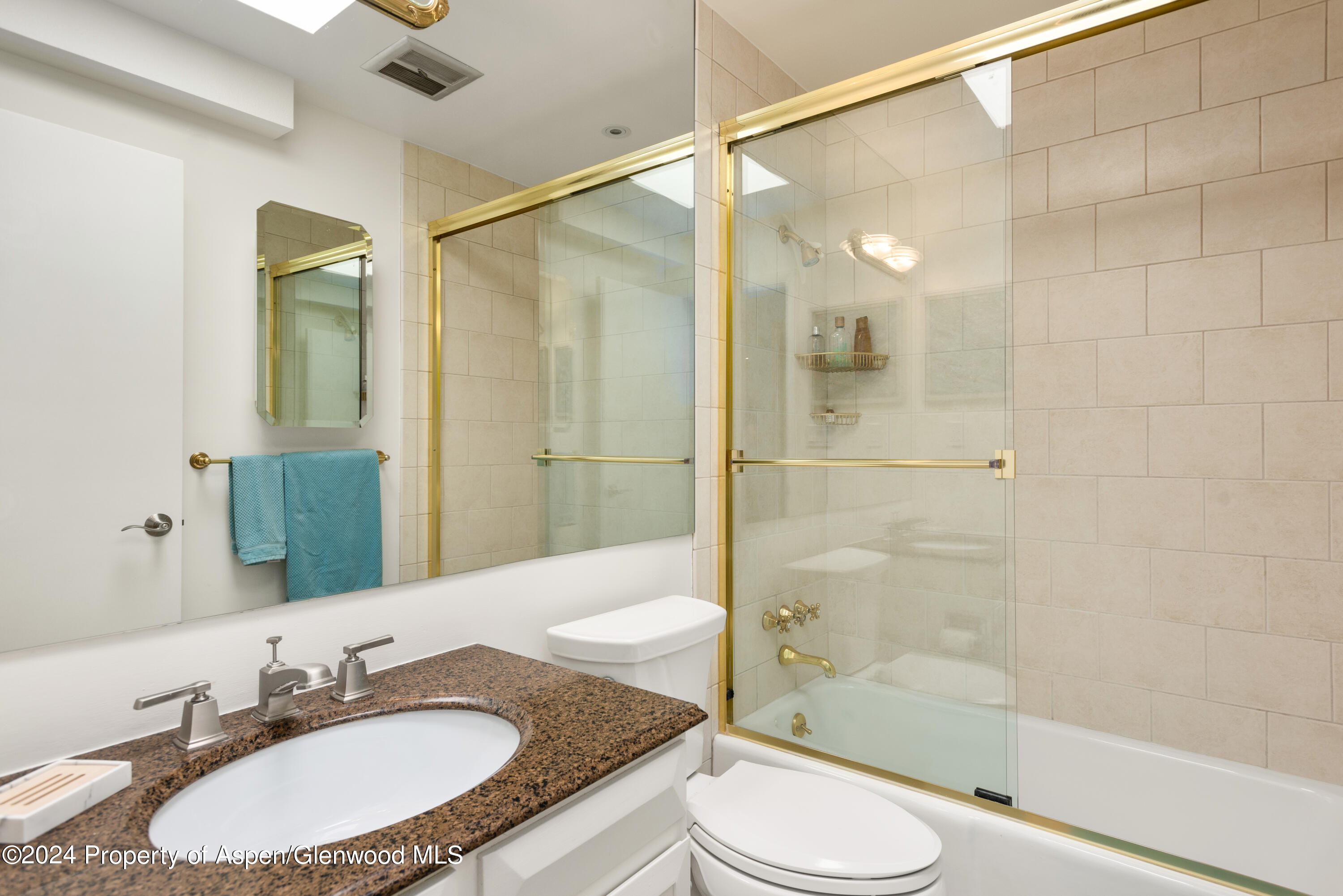 205 E Durant Avenue Aspen CO 81611