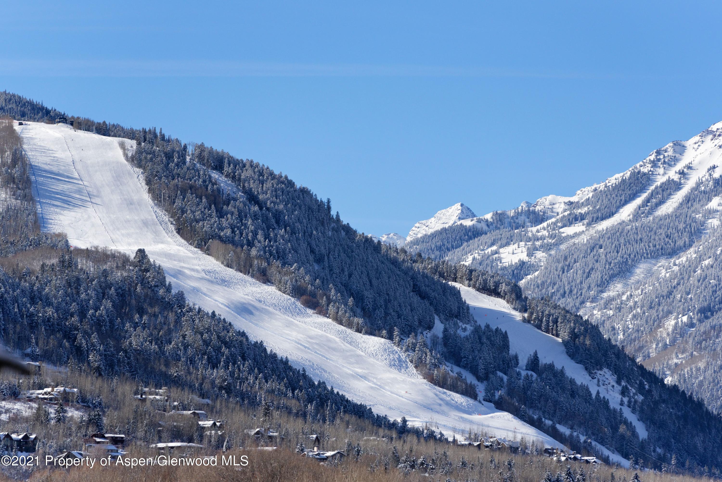 411 Willoughby Way Aspen CO 81611