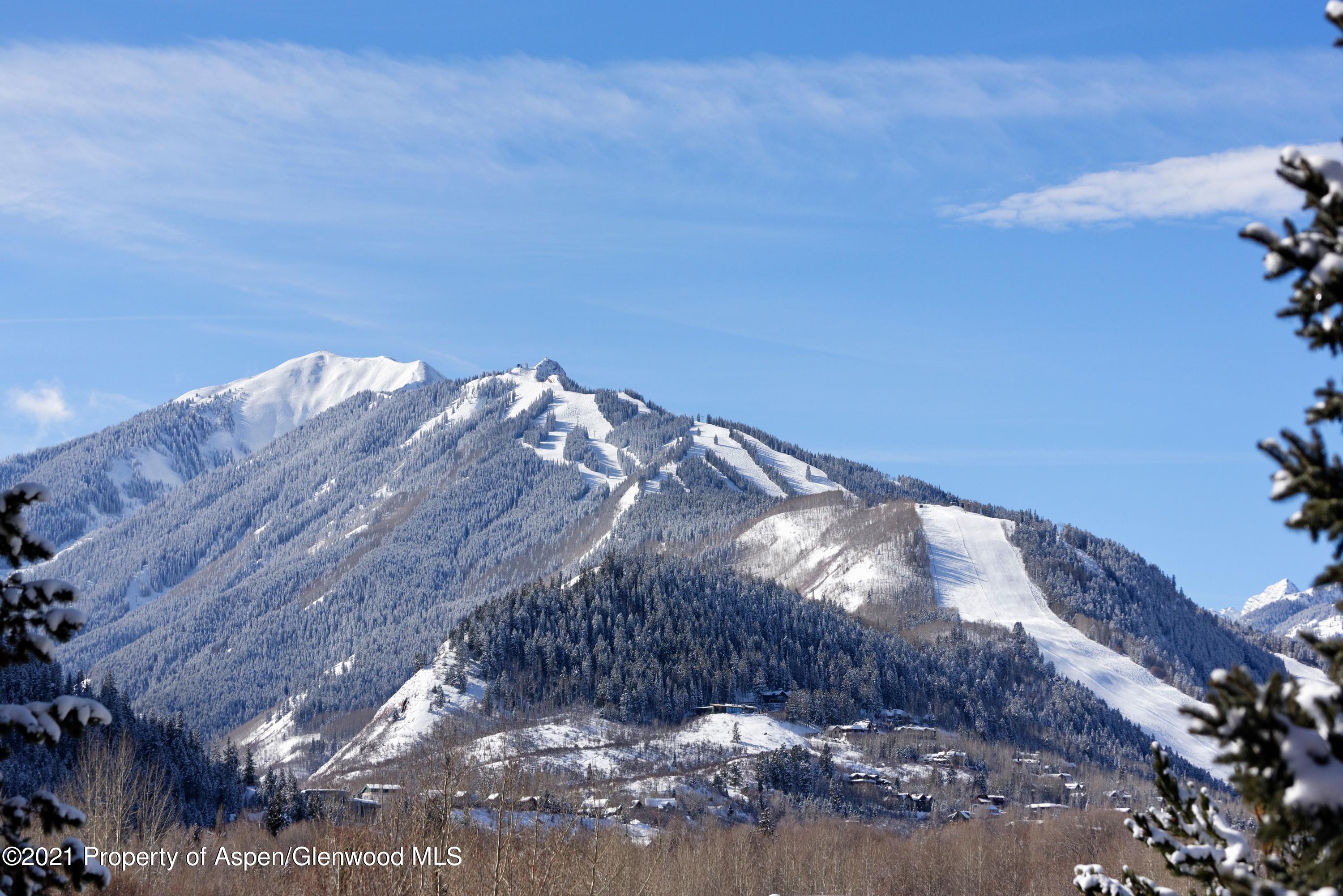 411 Willoughby Way Aspen CO 81611