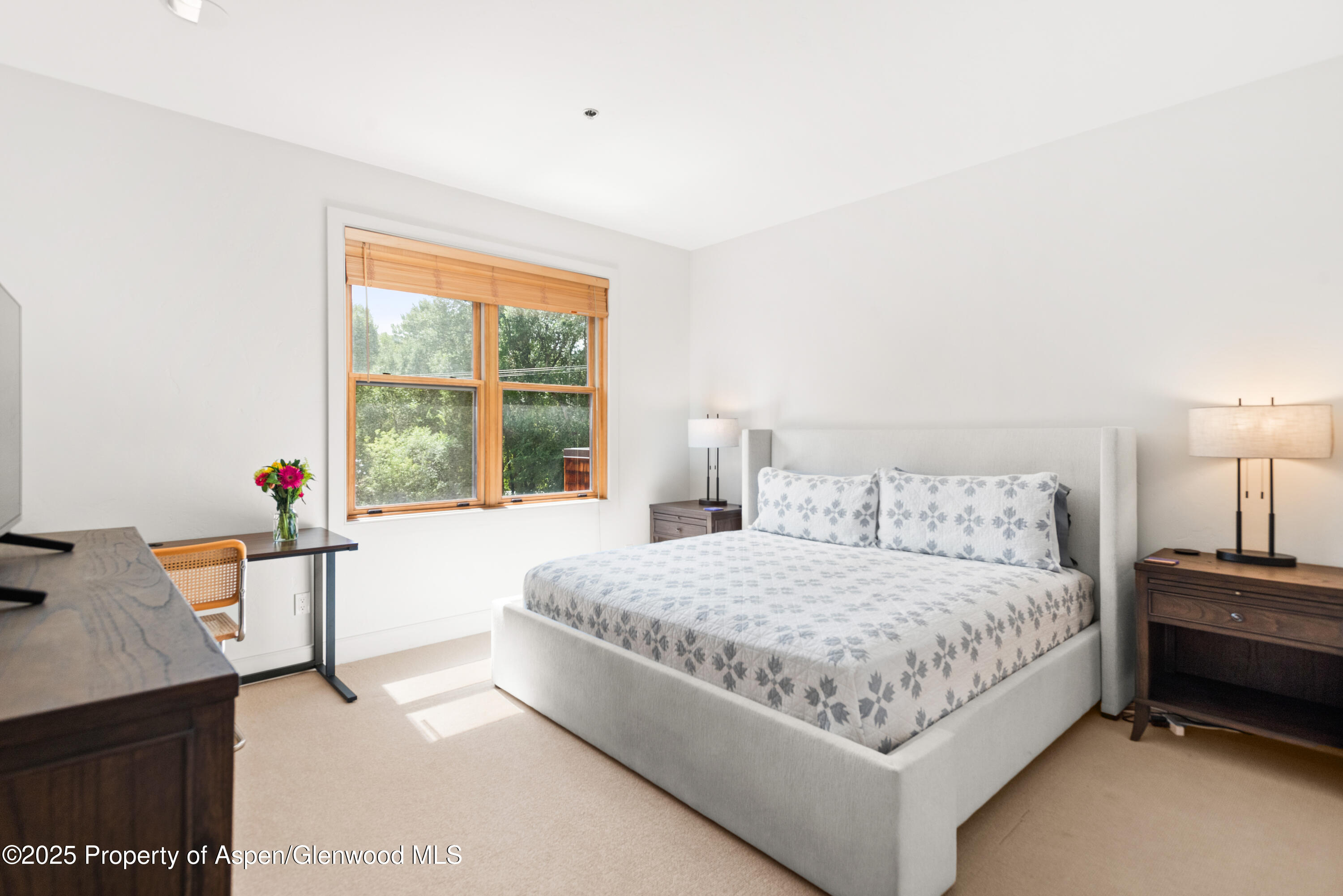 227 Midland Avenue Basalt CO 81621