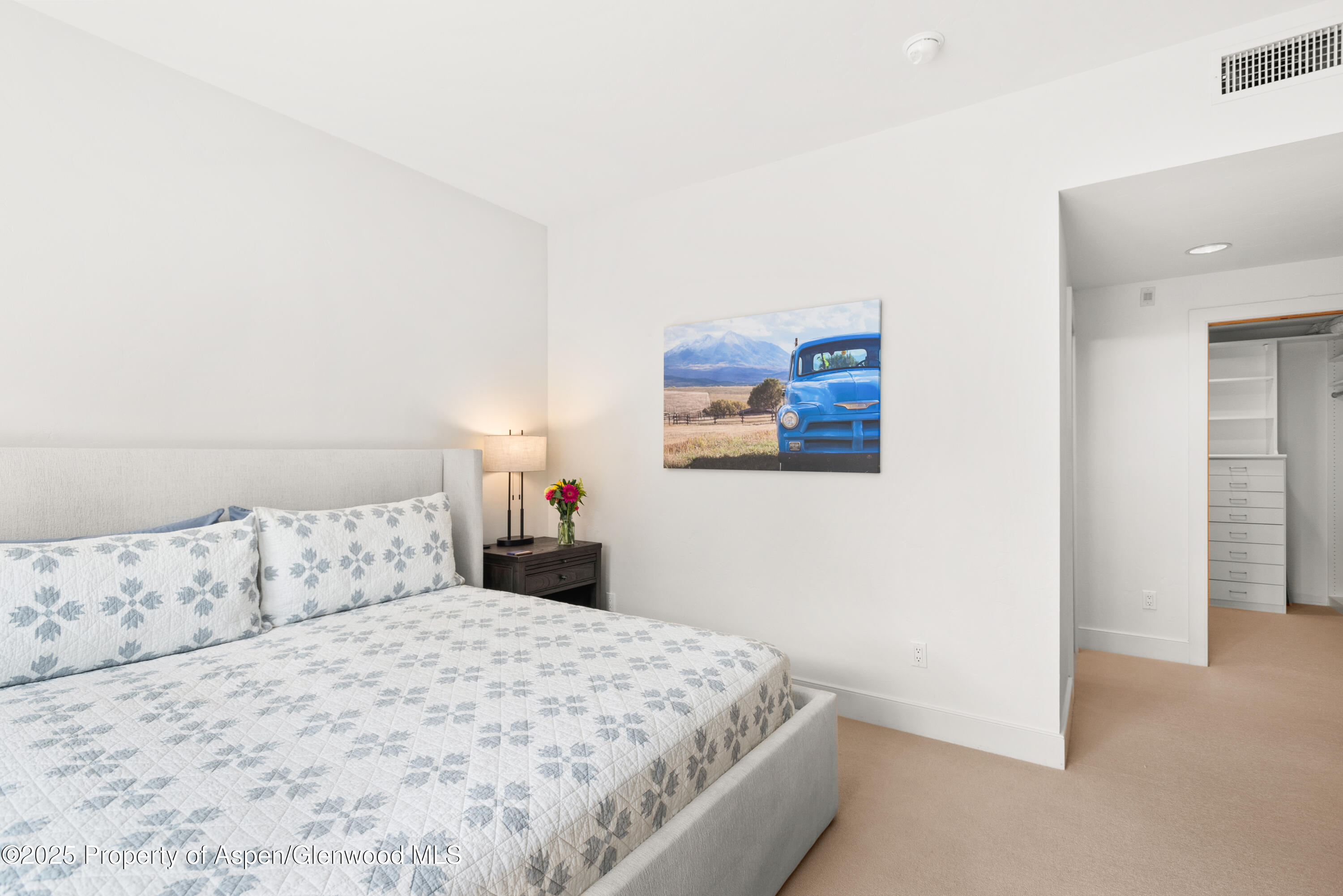 227 Midland Avenue Basalt CO 81621