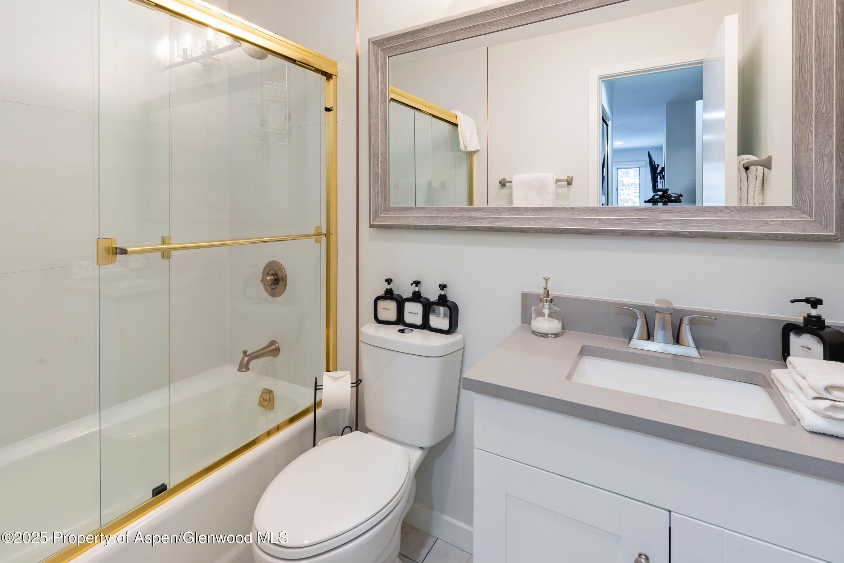 100 E Dean Street Aspen CO 81611