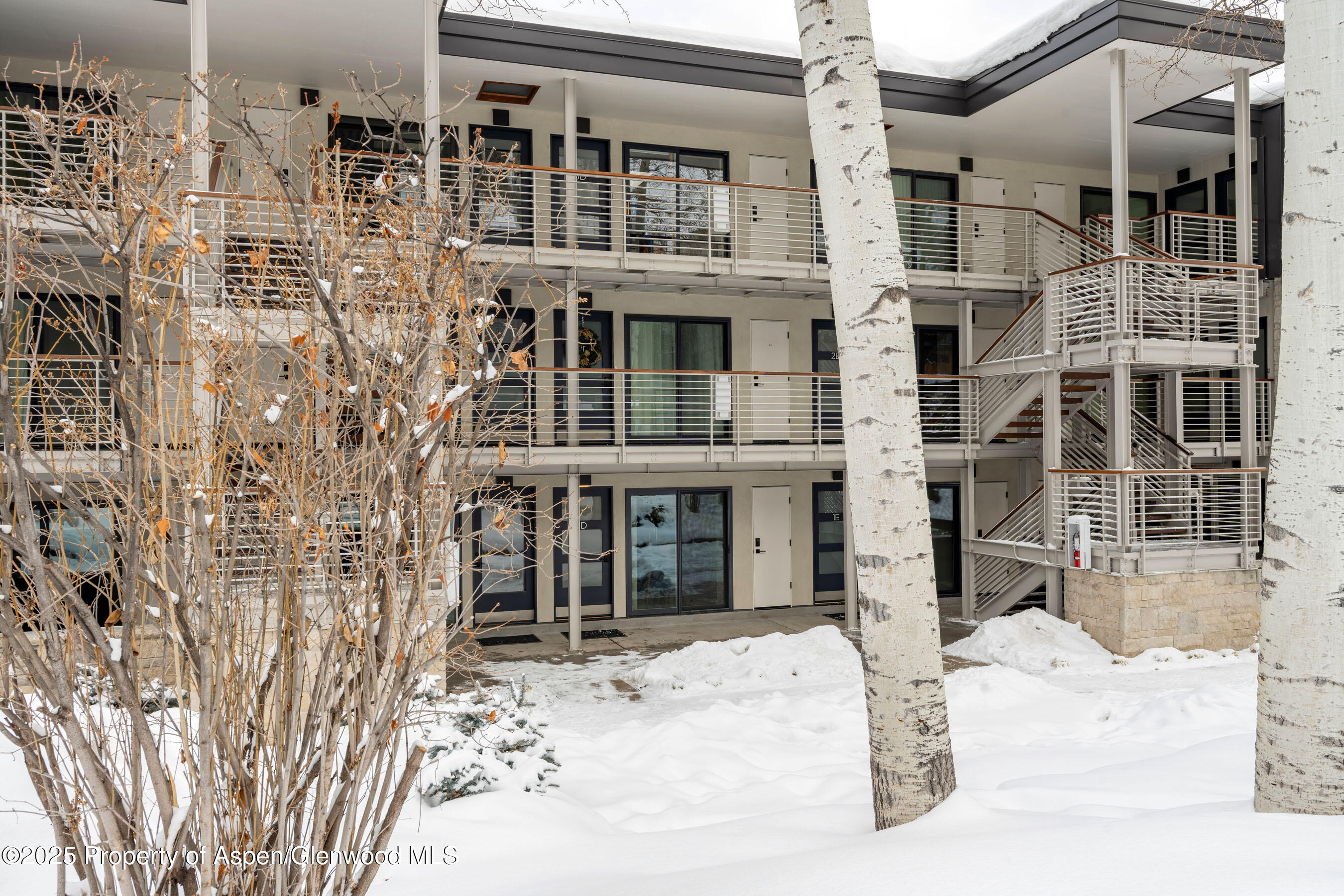 100 E Dean Street Aspen CO 81611