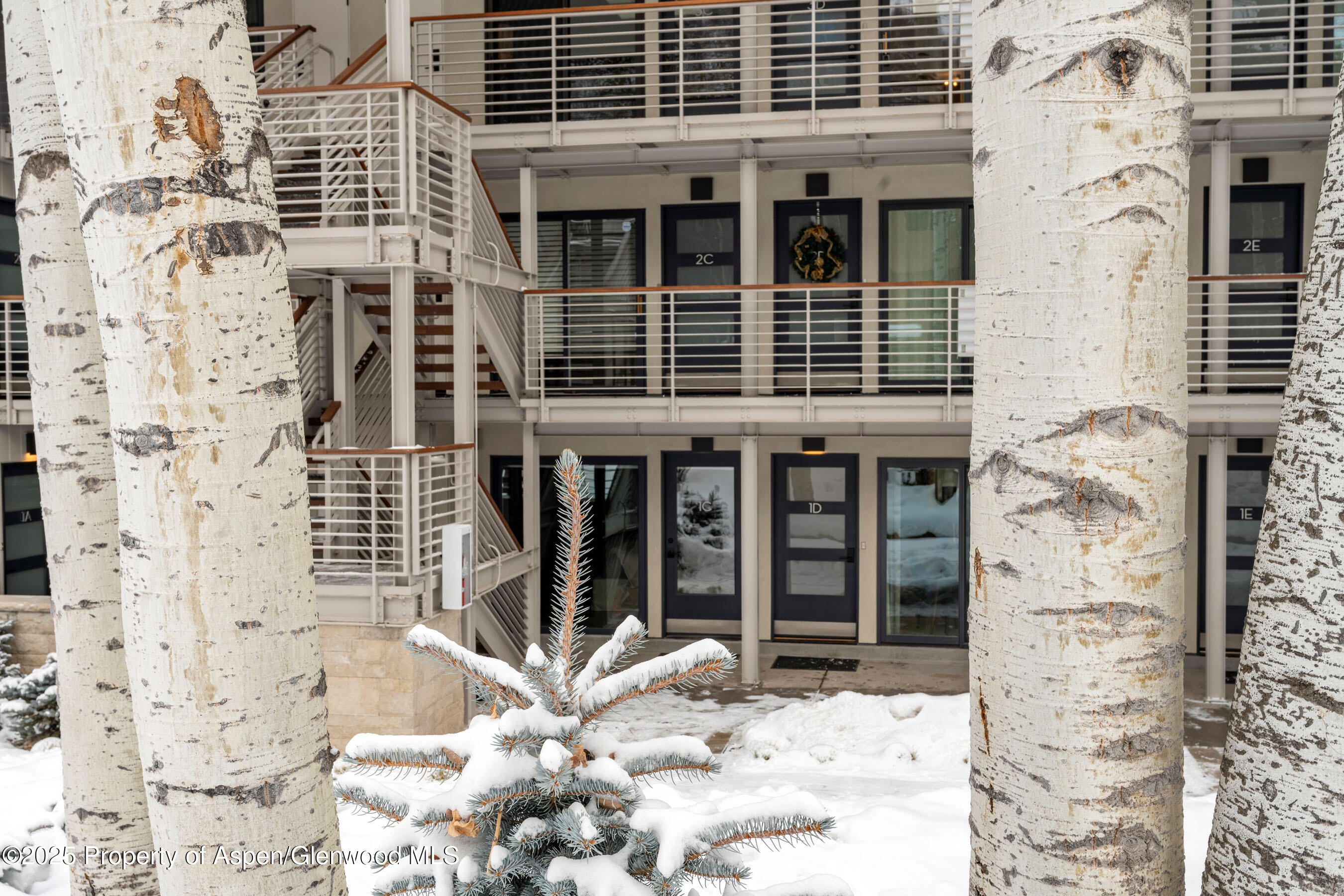 100 E Dean Street Aspen CO 81611