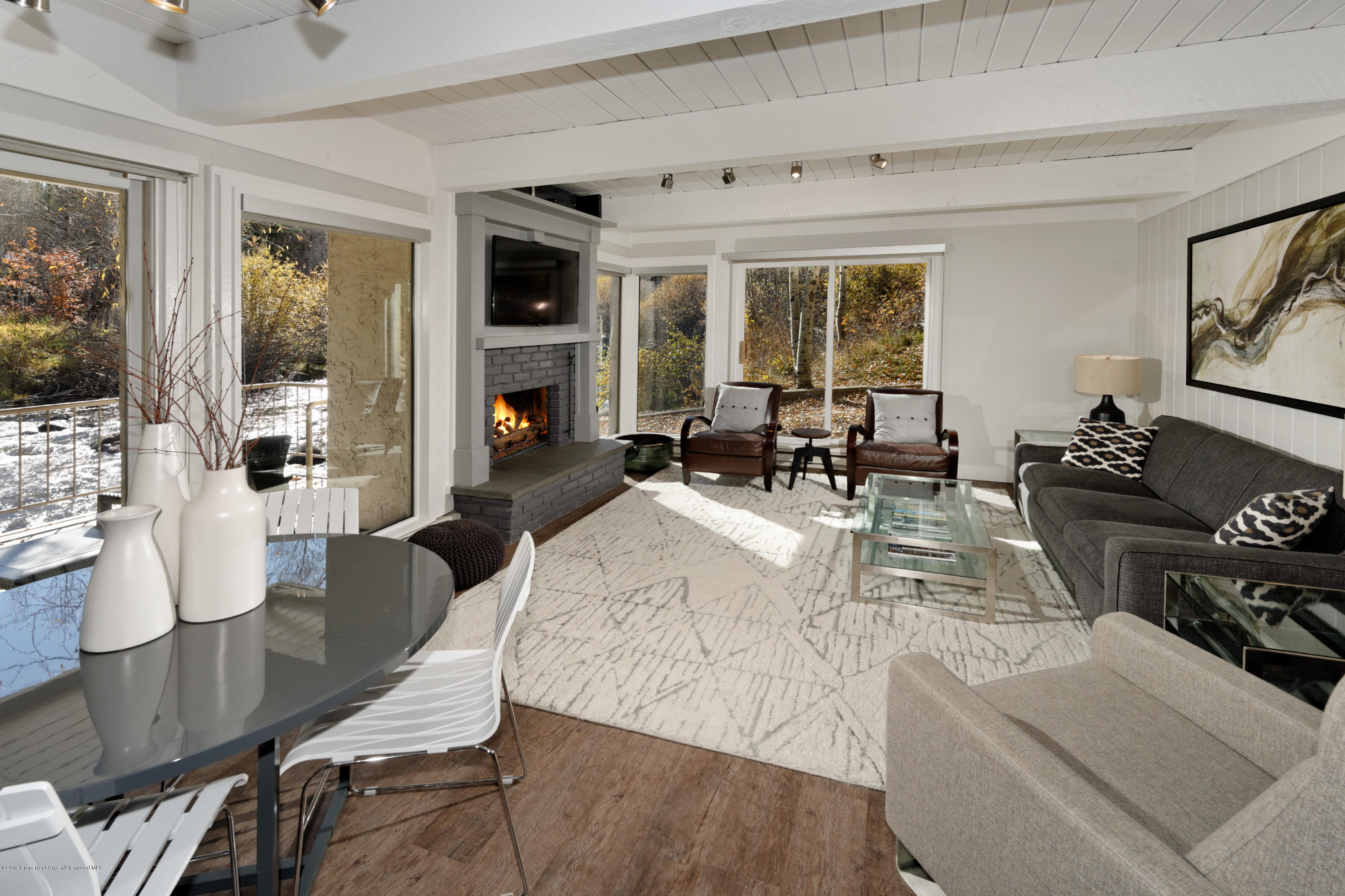 1039 E Cooper Avenue Aspen CO 81611