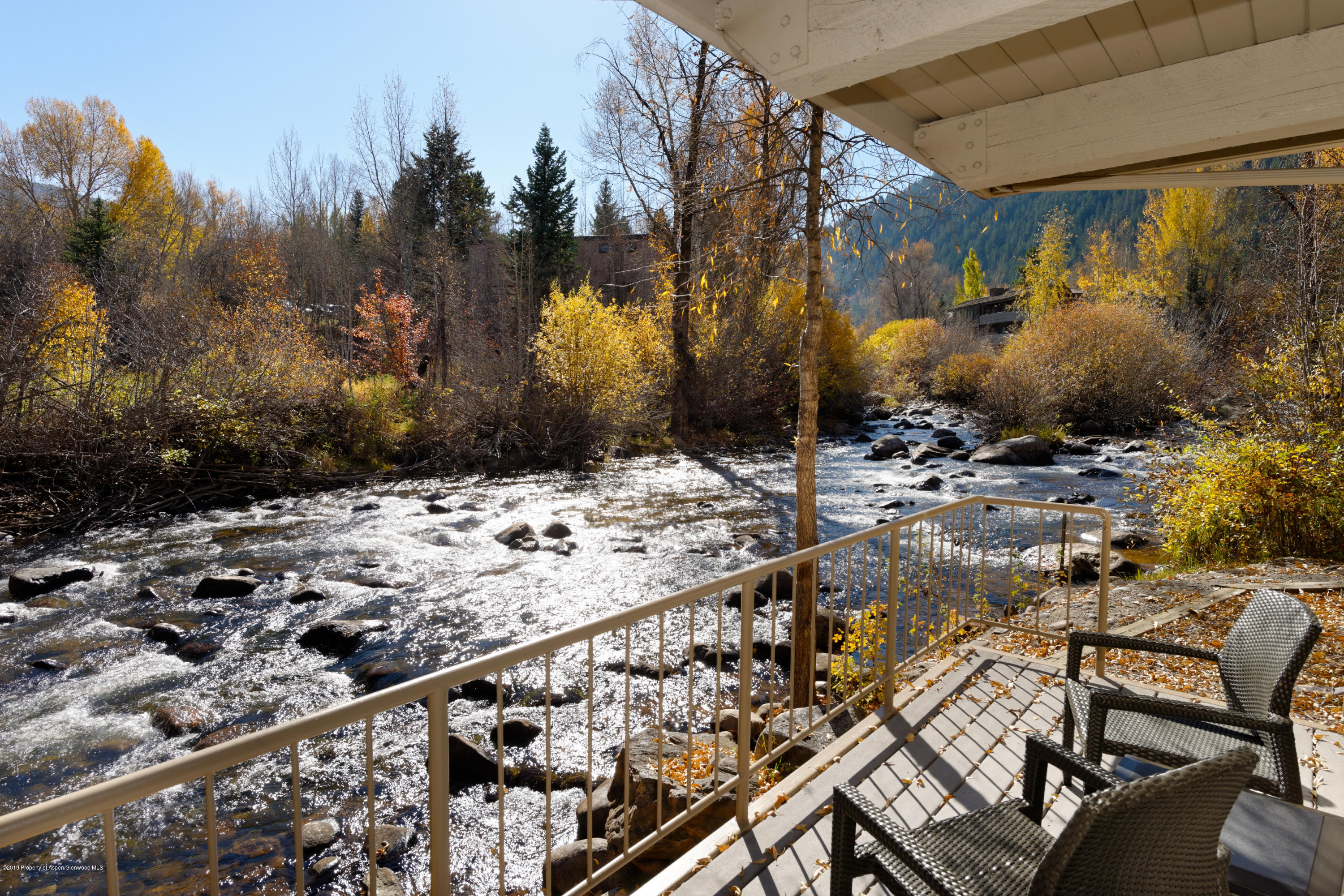 1039 E Cooper Avenue Aspen CO 81611