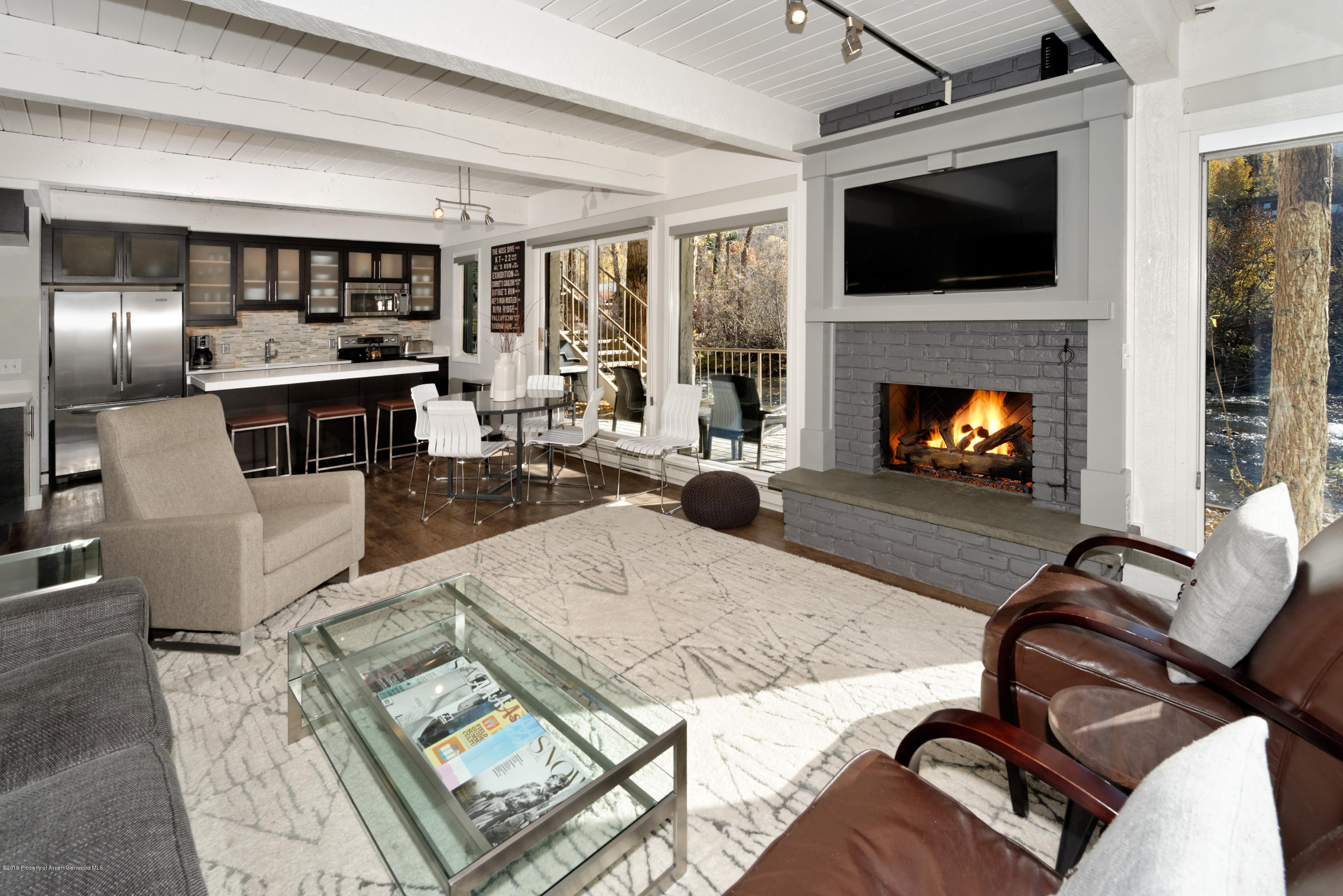 1039 E Cooper Avenue Aspen CO 81611