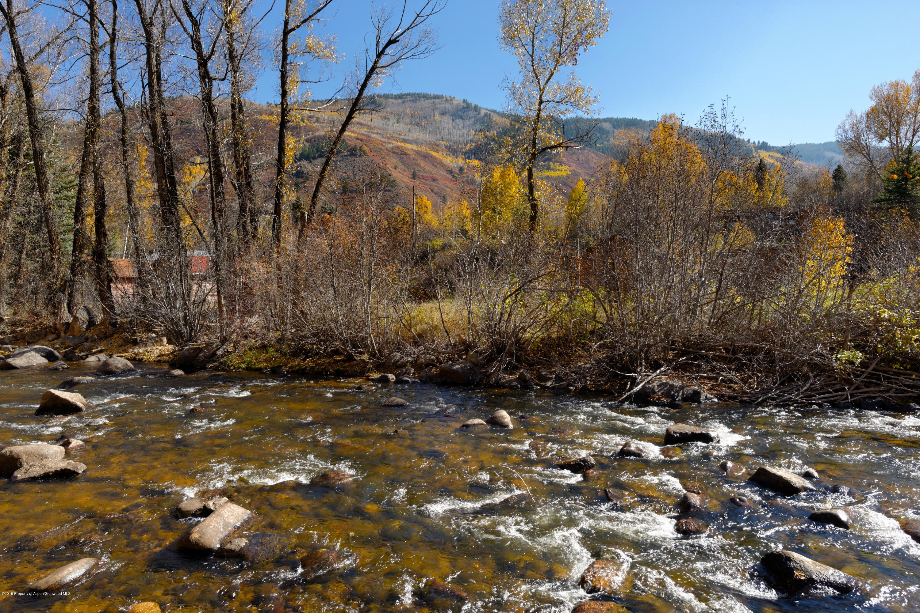 1039 E Cooper Avenue Aspen CO 81611