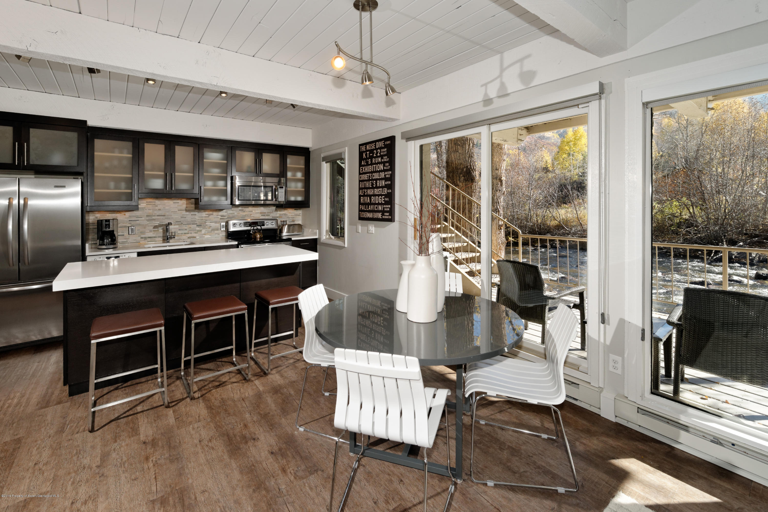 1039 E Cooper Avenue Aspen CO 81611