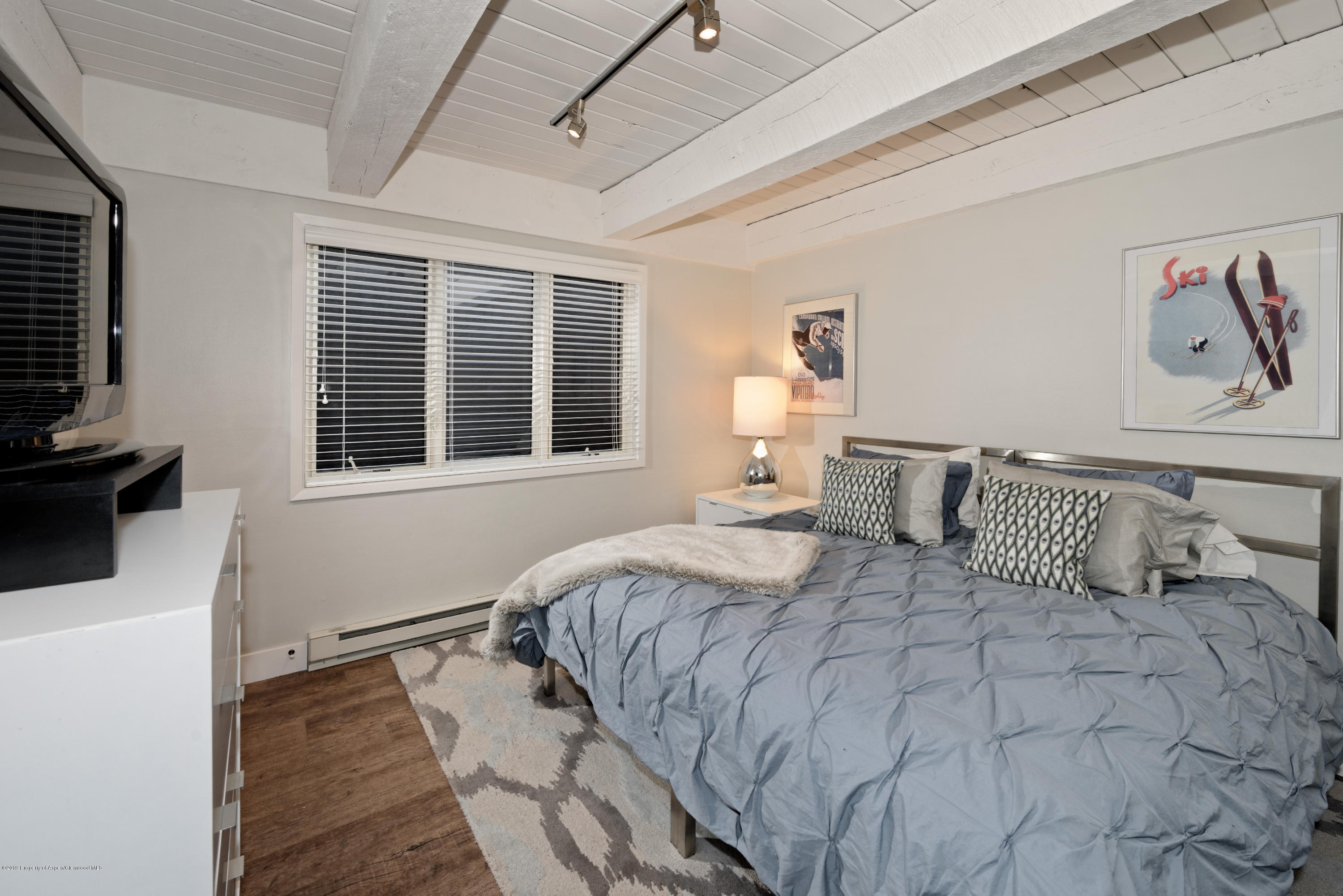 1039 E Cooper Avenue Aspen CO 81611