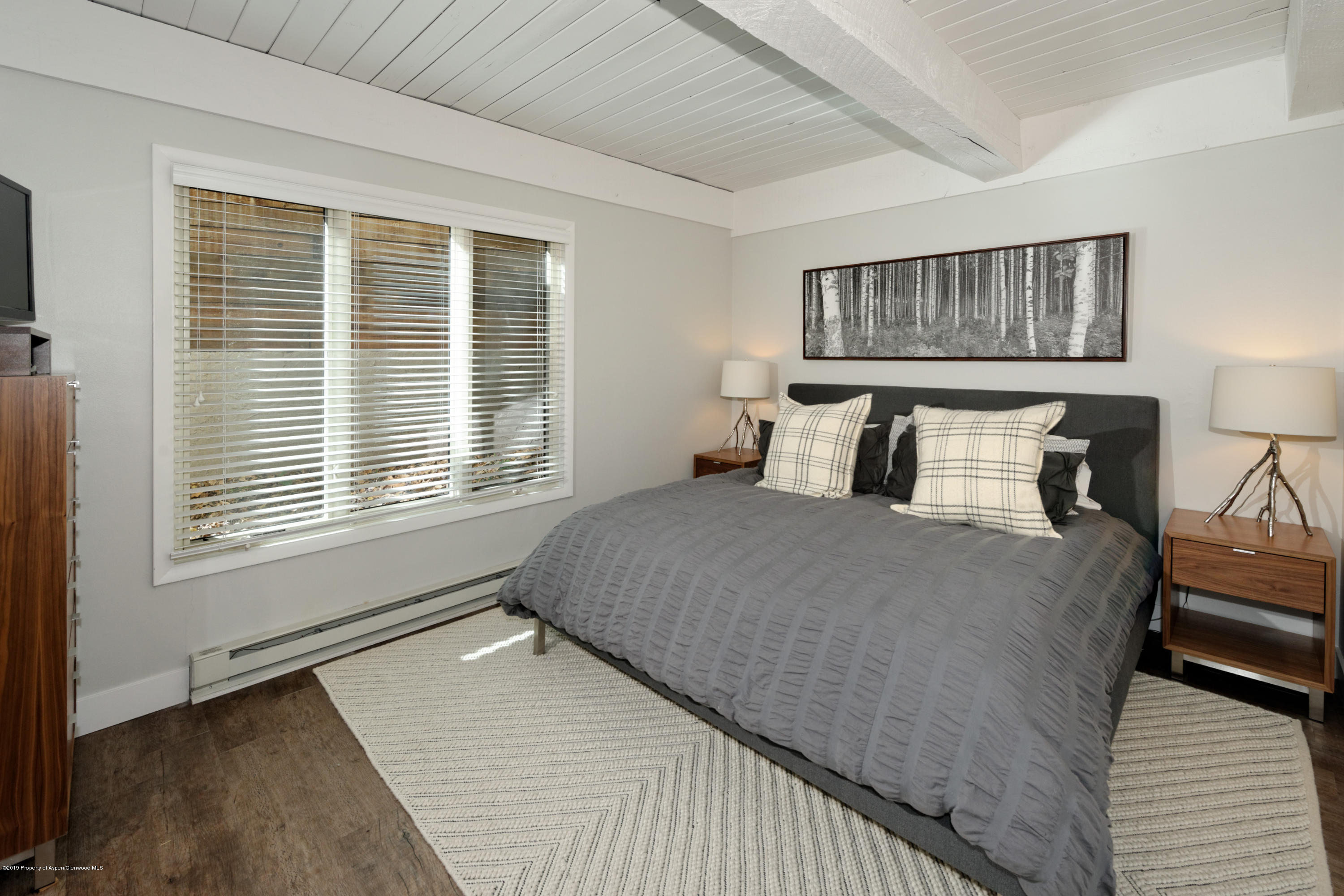 1039 E Cooper Avenue Aspen CO 81611