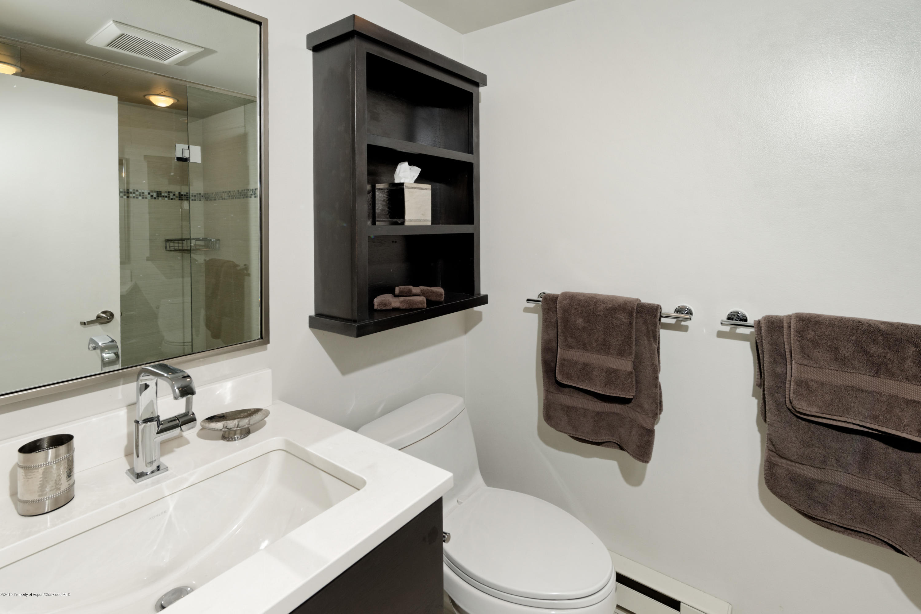 1039 E Cooper Avenue Aspen CO 81611