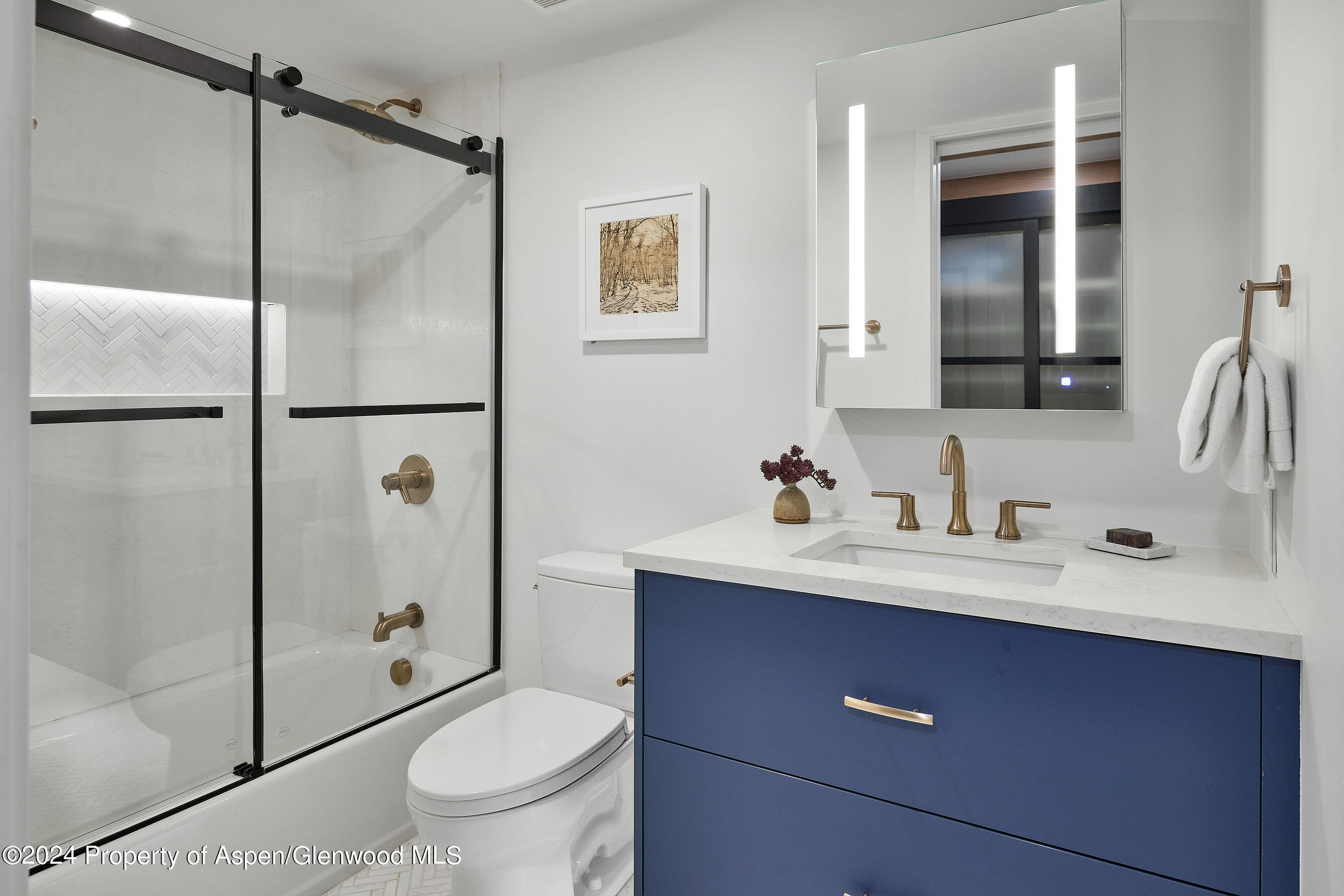 901 E Hyman Avenue Aspen CO 81611