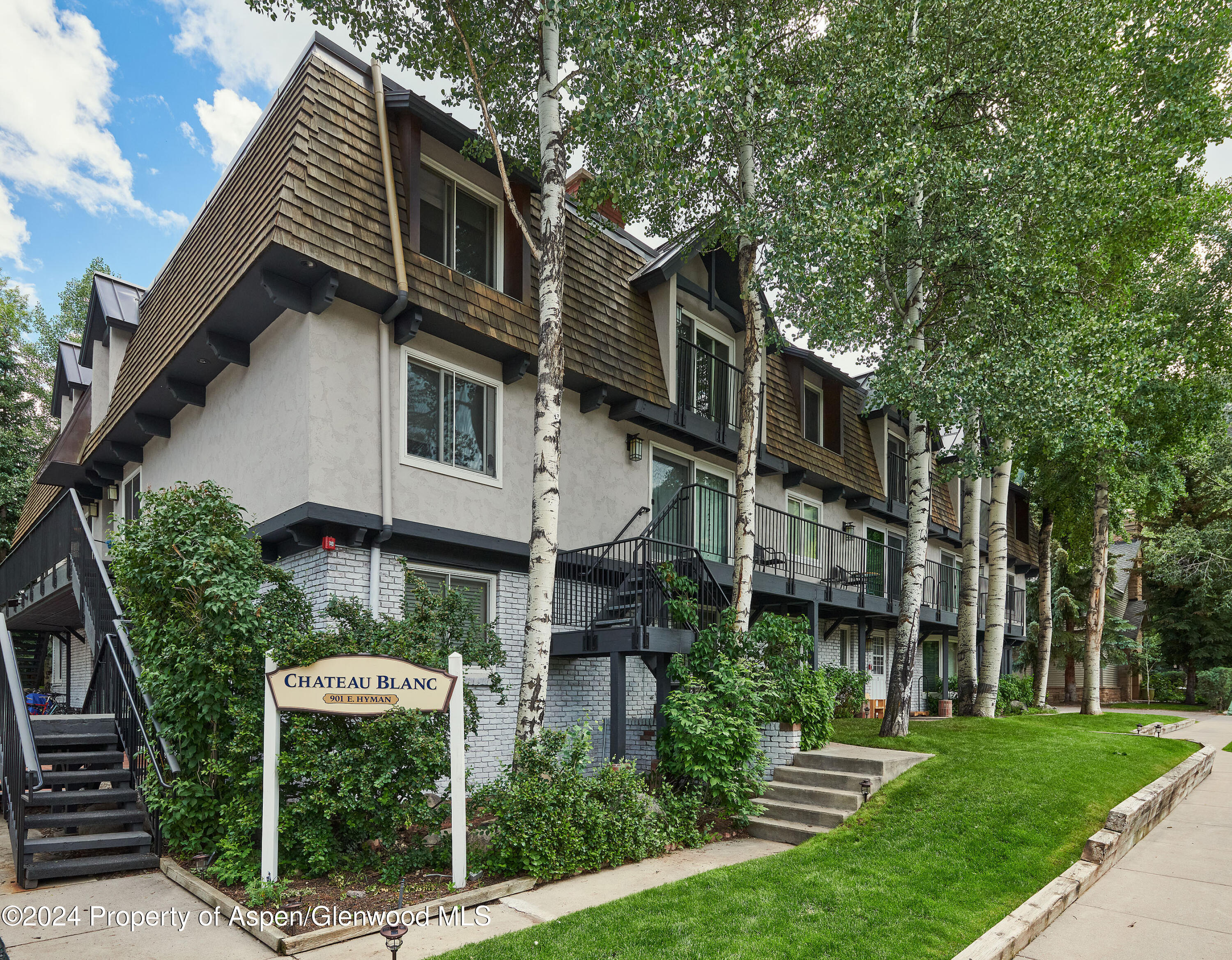 901 E Hyman Avenue Aspen CO 81611