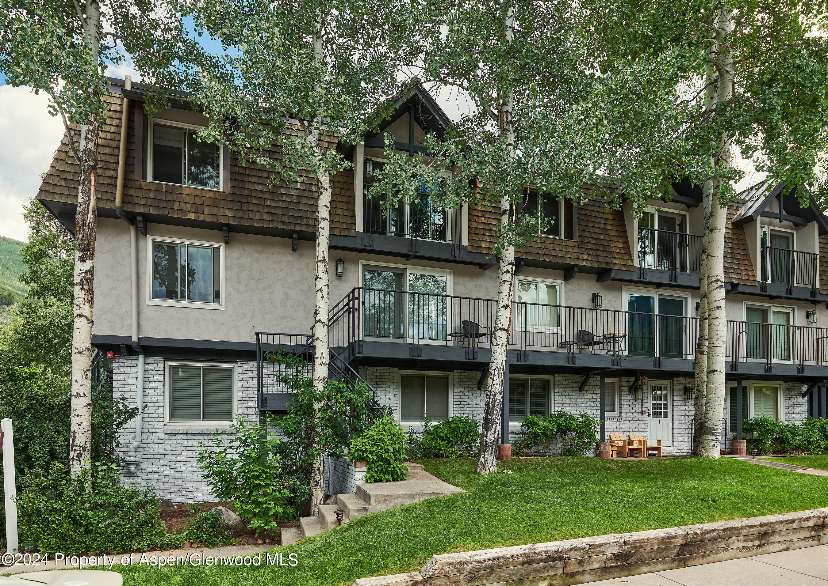 901 E Hyman Avenue Aspen CO 81611